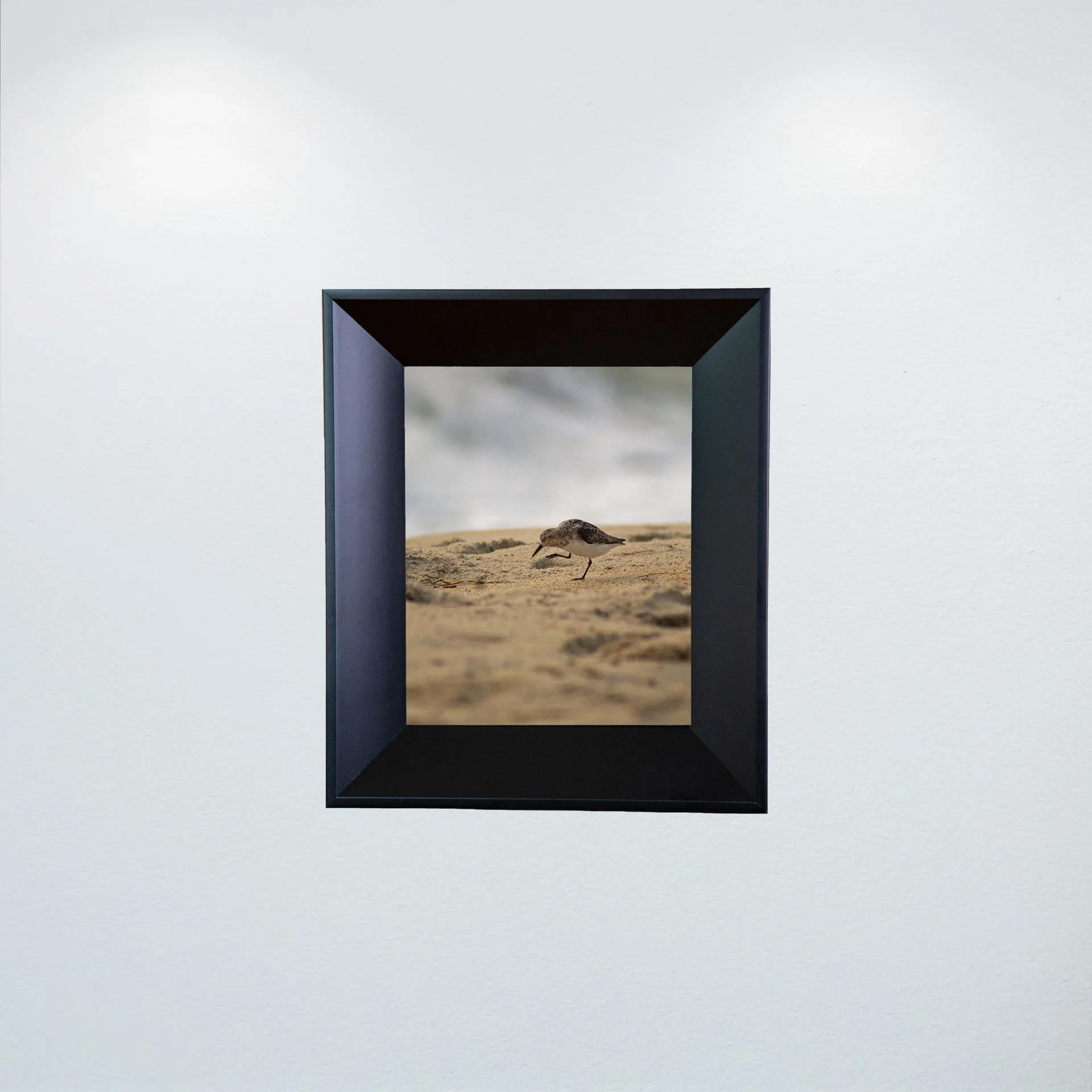 1:1 Rodanthe Sanderling Itching- Mini.jpg