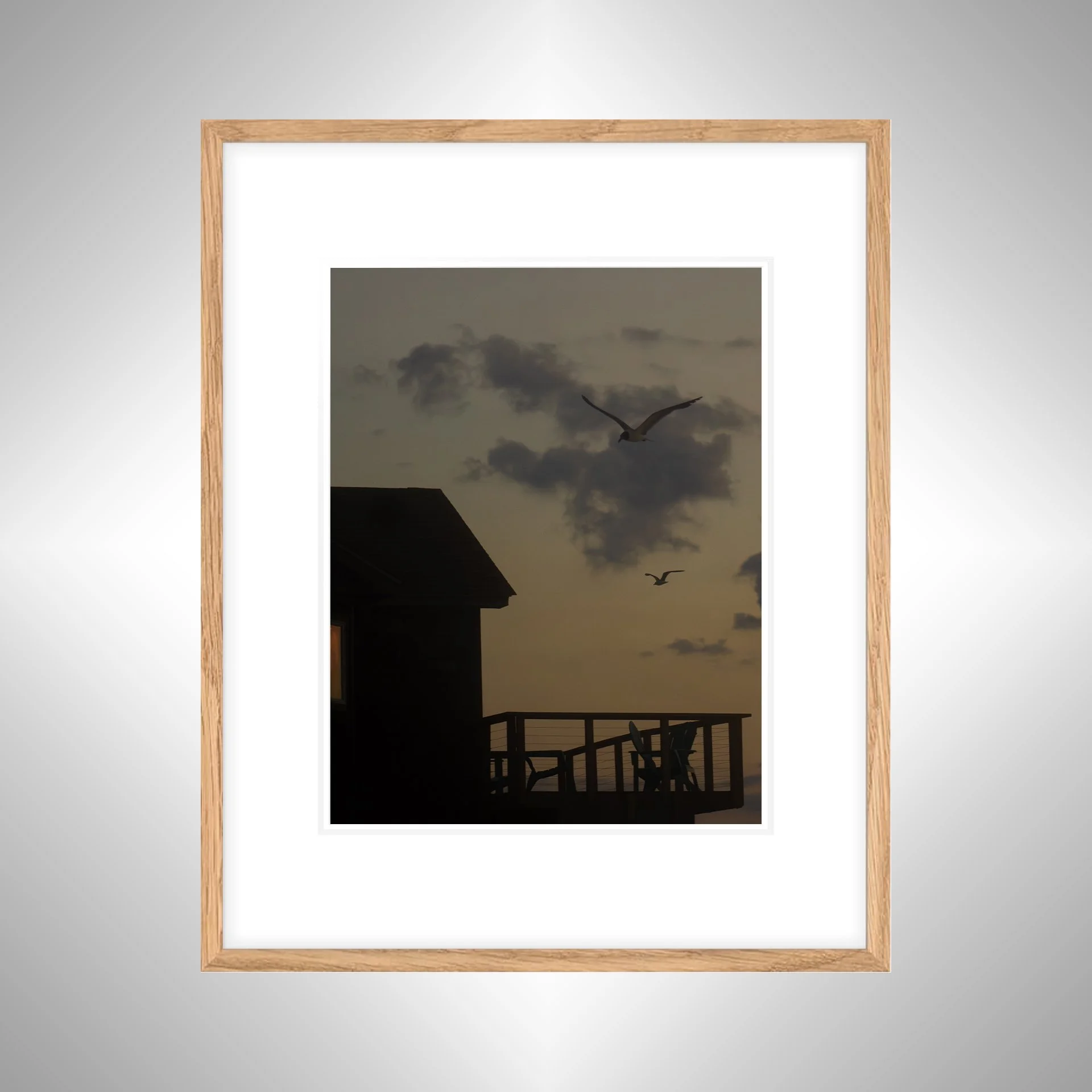 1:1 Seagulls Flying by now Fallen Oceanfront House in Rodanthe- White w: Border copy NATTY.jpg