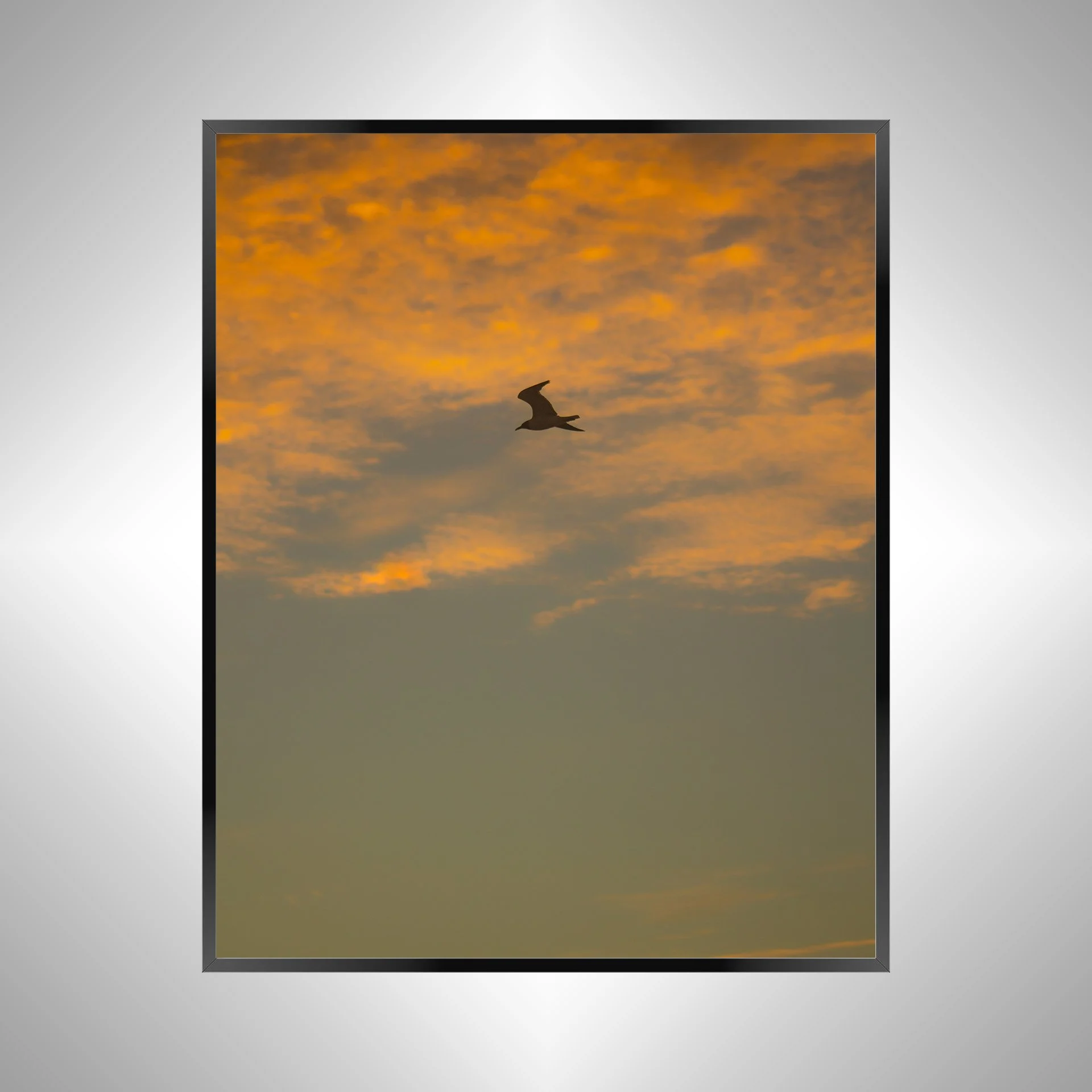 1/1 Seagull Flying with Orange Clouds