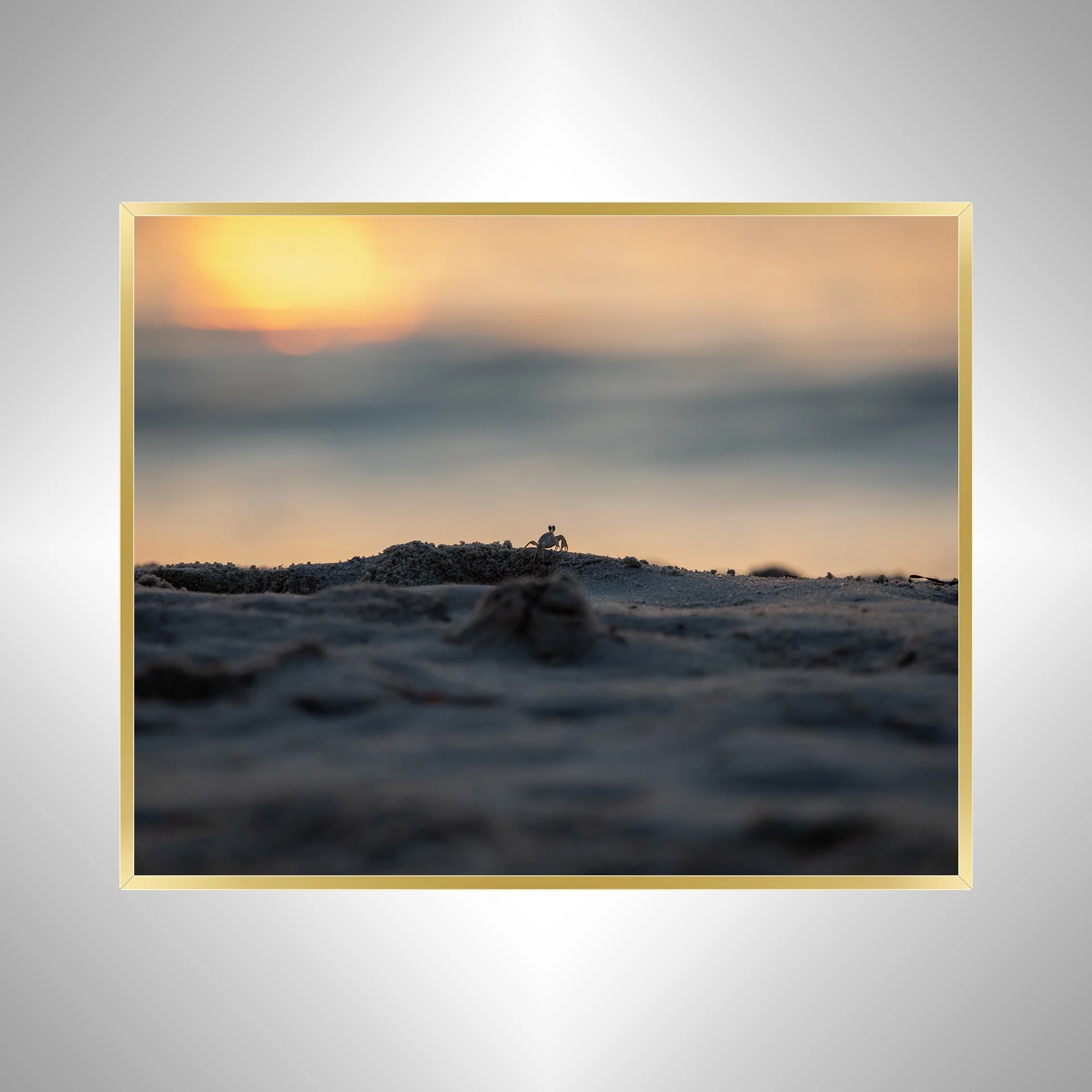 1:1 Ghost Crab Watching Sunrise in Duck, NC- Gold Metal.jpg