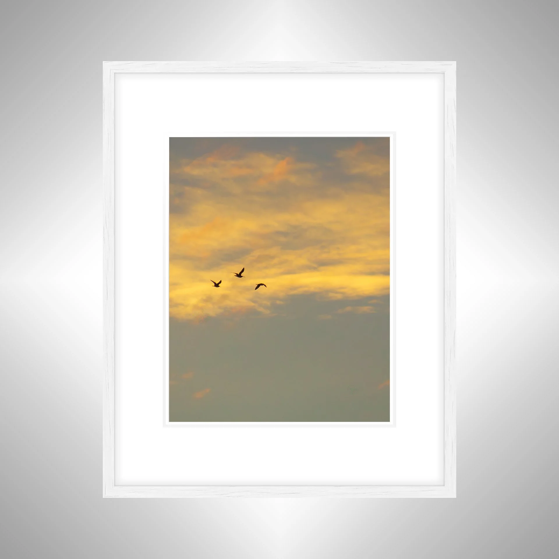 1:1 Trio of Gulls Flying at Sunrise- White w: Border.jpg