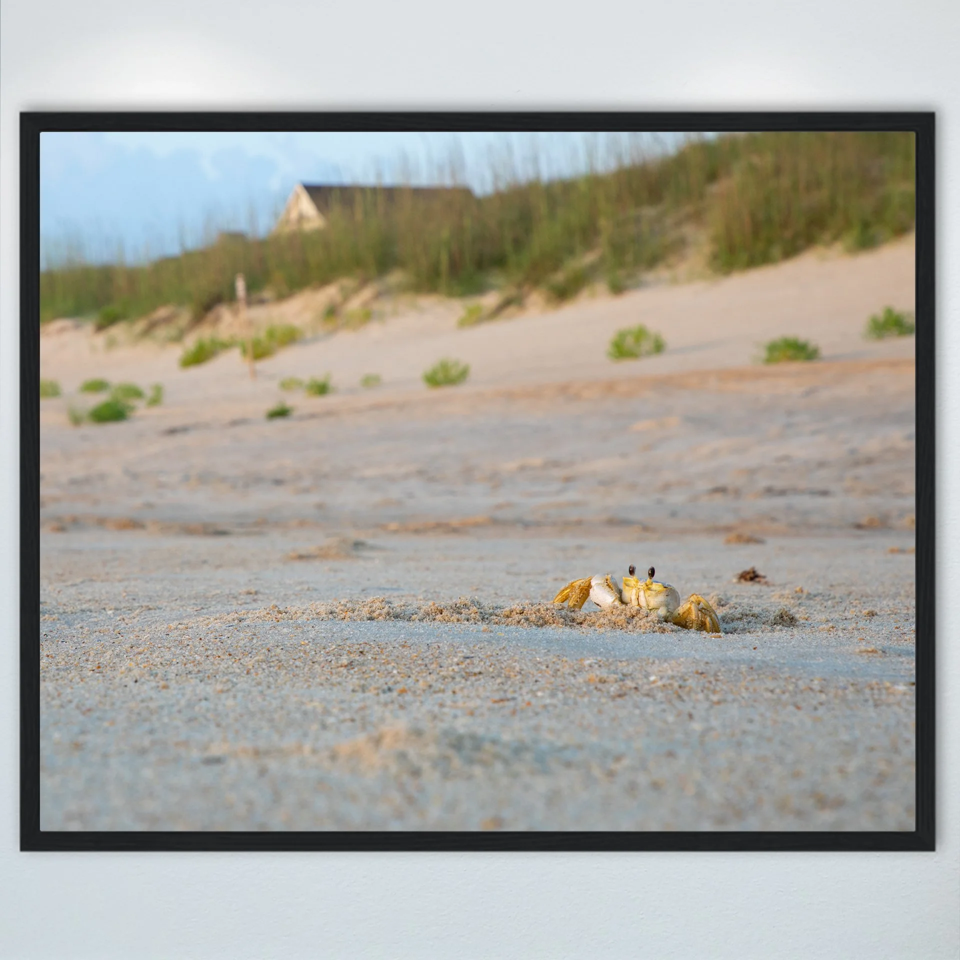 1:10 Ghost Crab Headshot- Wood.jpg
