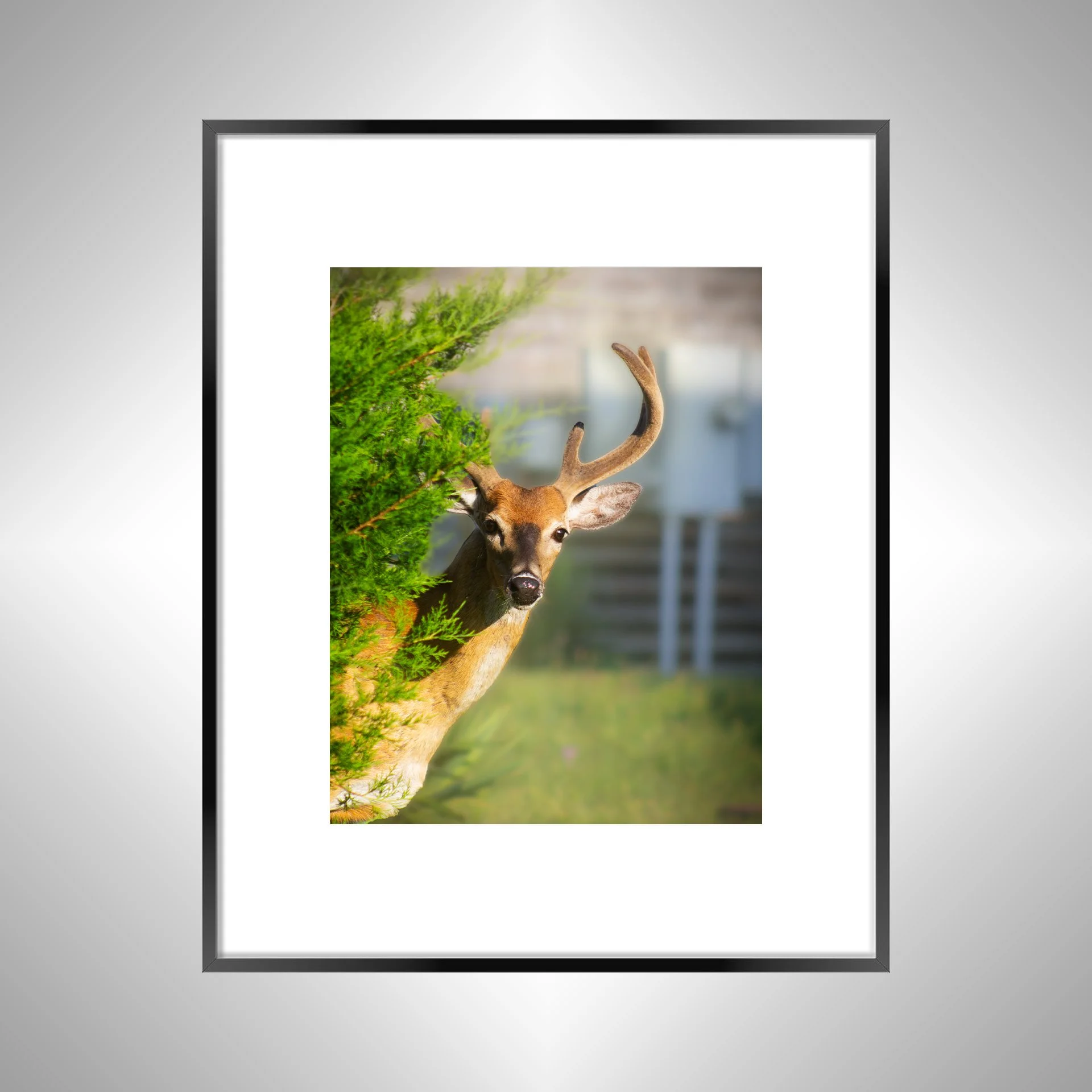 1:1 Deer Peer- Black Metal w: Border.jpg