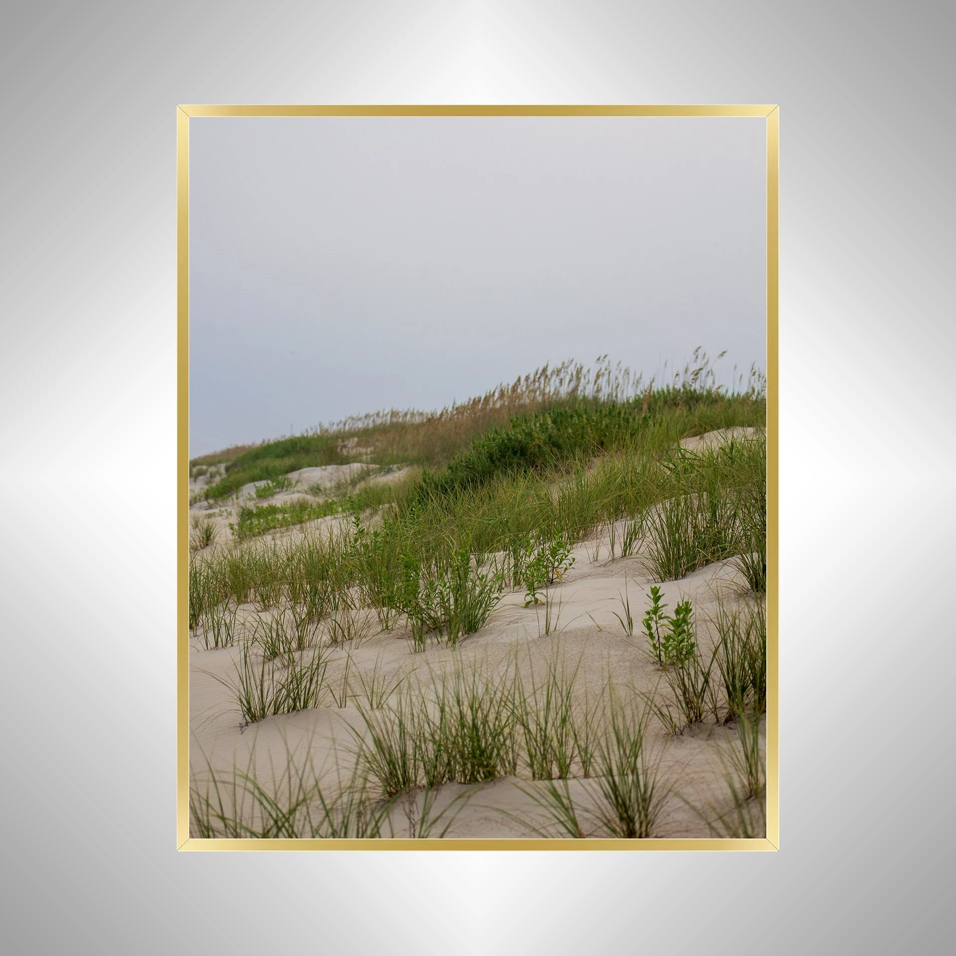 1:10 Ocracoke Dune Oats (Portrait)- Gold.jpg