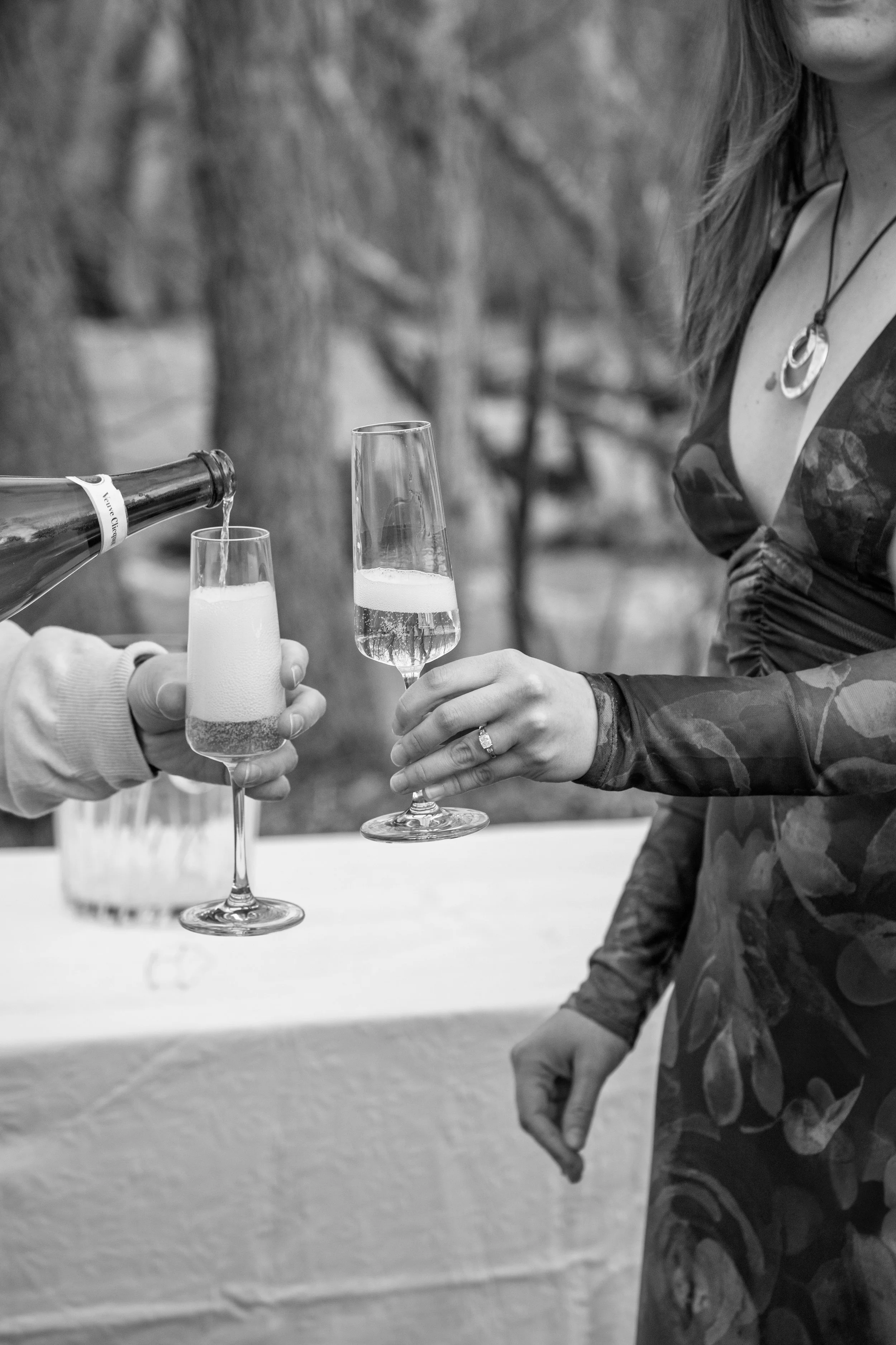 Engagement Photography by Will Locke near Richmond, VA in Montpelier. Two women clink champagne glasses outdoors, with a table and a bottle of champagne in the background.