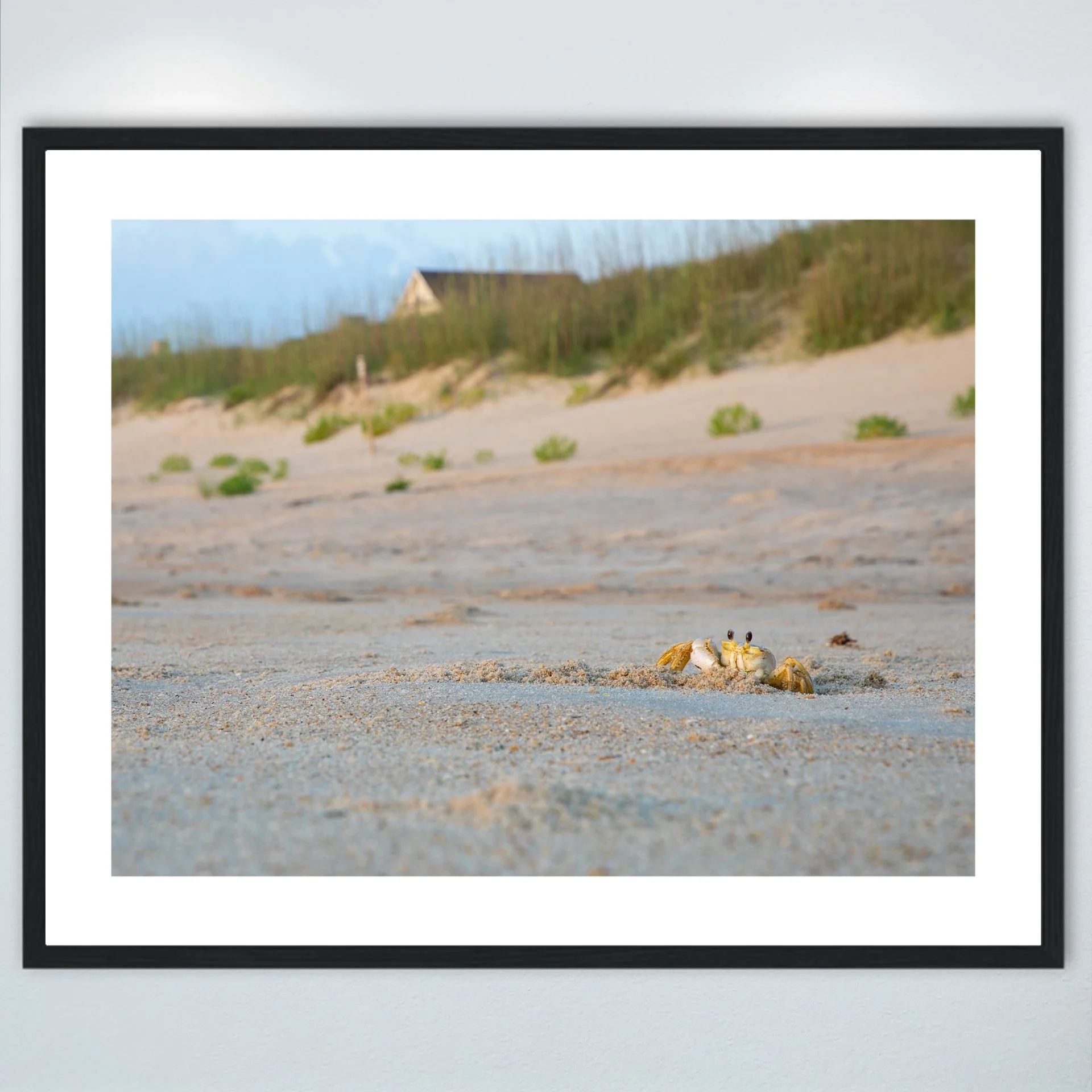 1:10 Ghost Crab Headshot- Wood w: Border.jpg