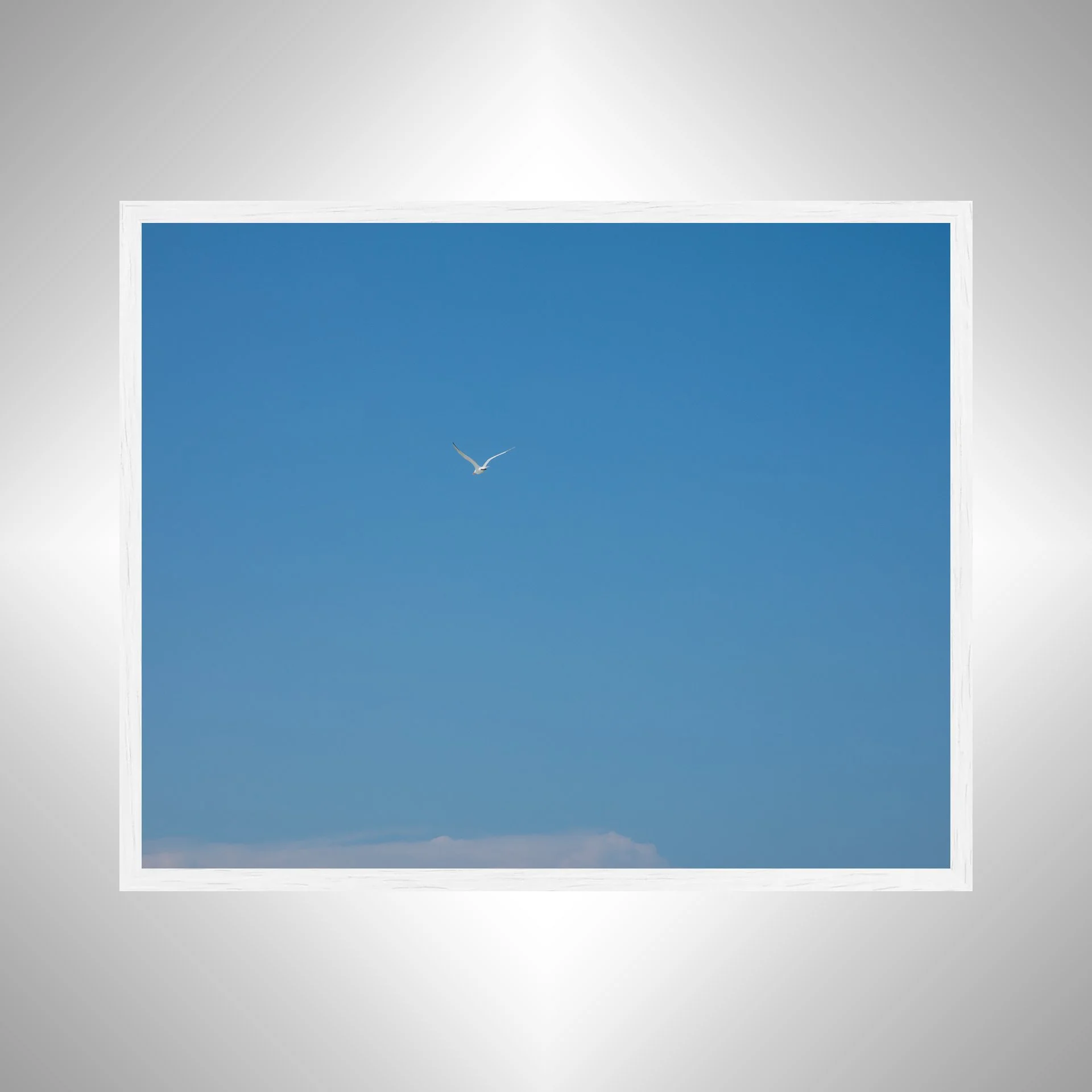 1:10 Seagull Flying Away- White.jpg