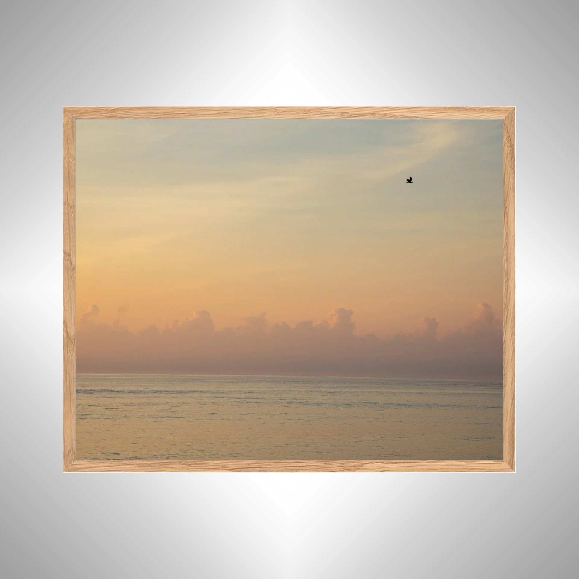 1:1 Clouds on the Horizon with Seagull- White Wood copy NATTY.jpg