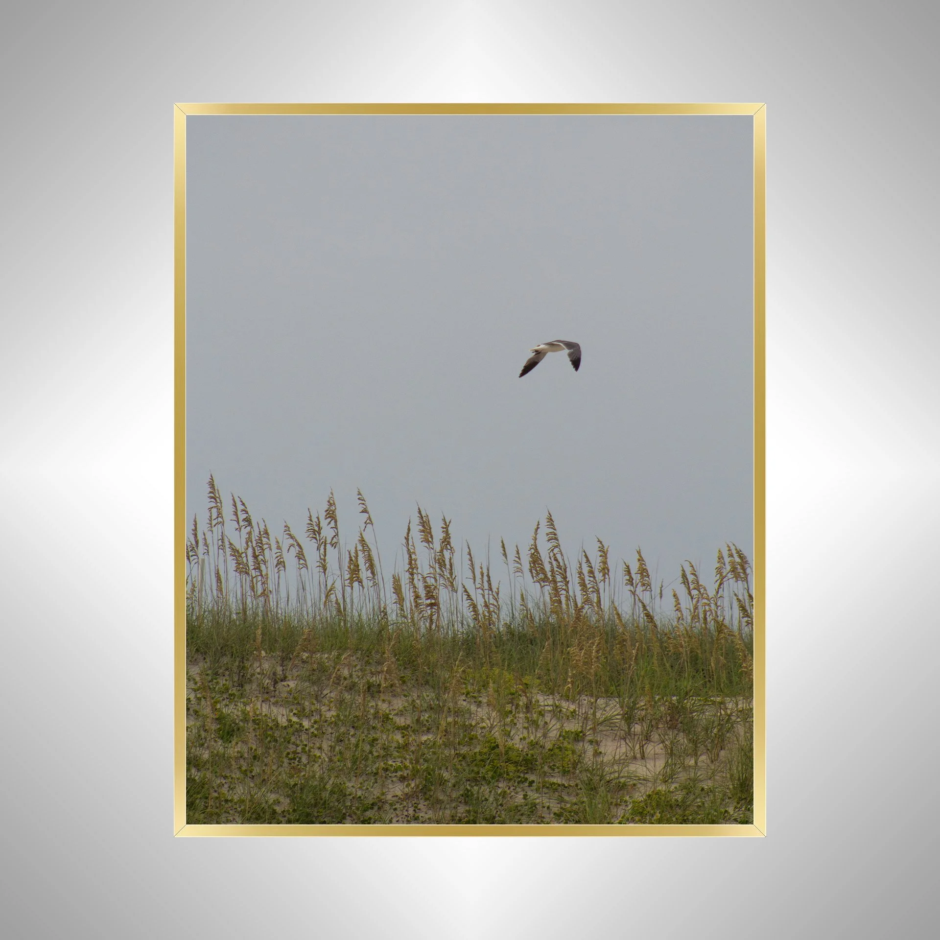 1:1 Seagull with Sea Oats- Gold.jpg