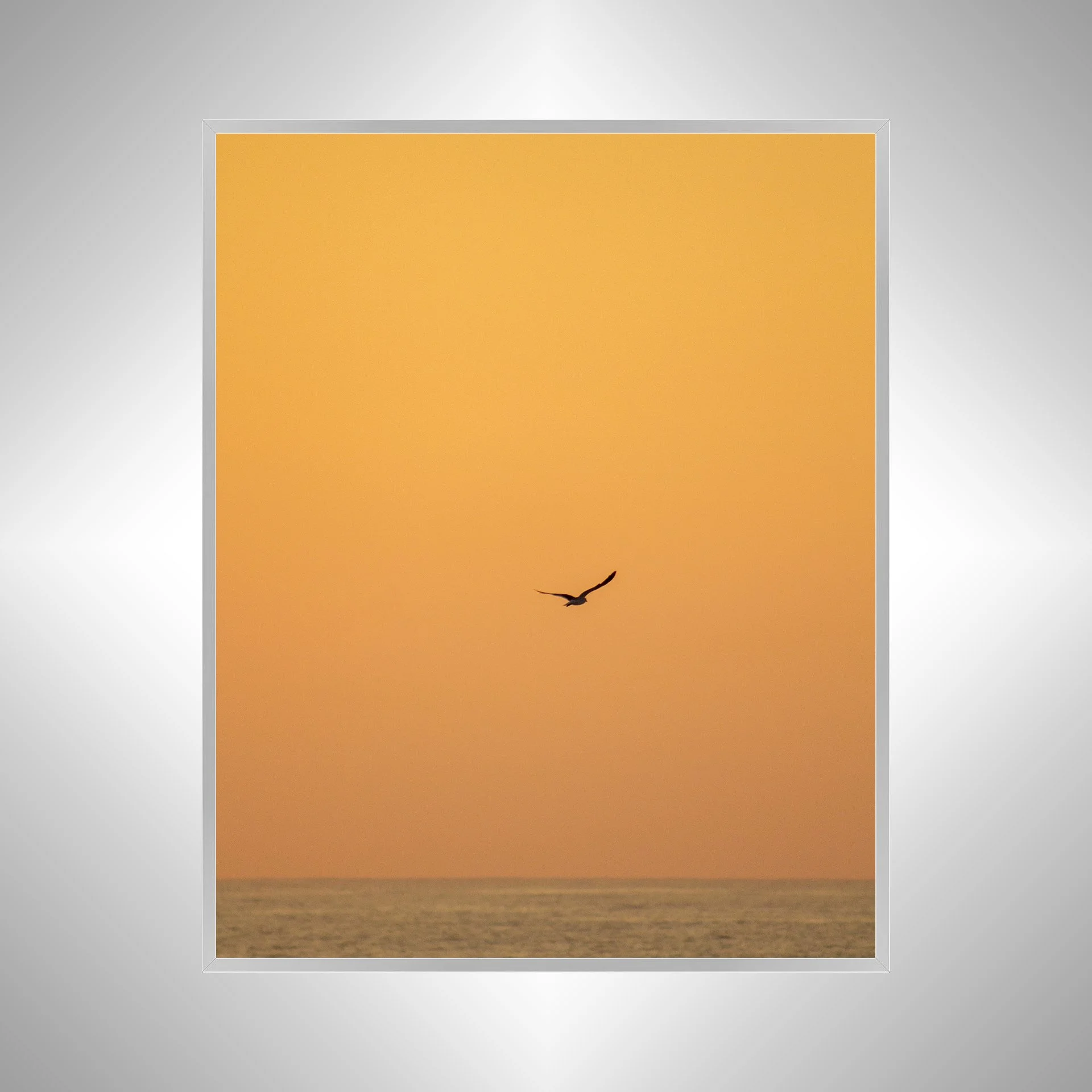 1:10 Seagull Flying on Ocean- Silver.jpg