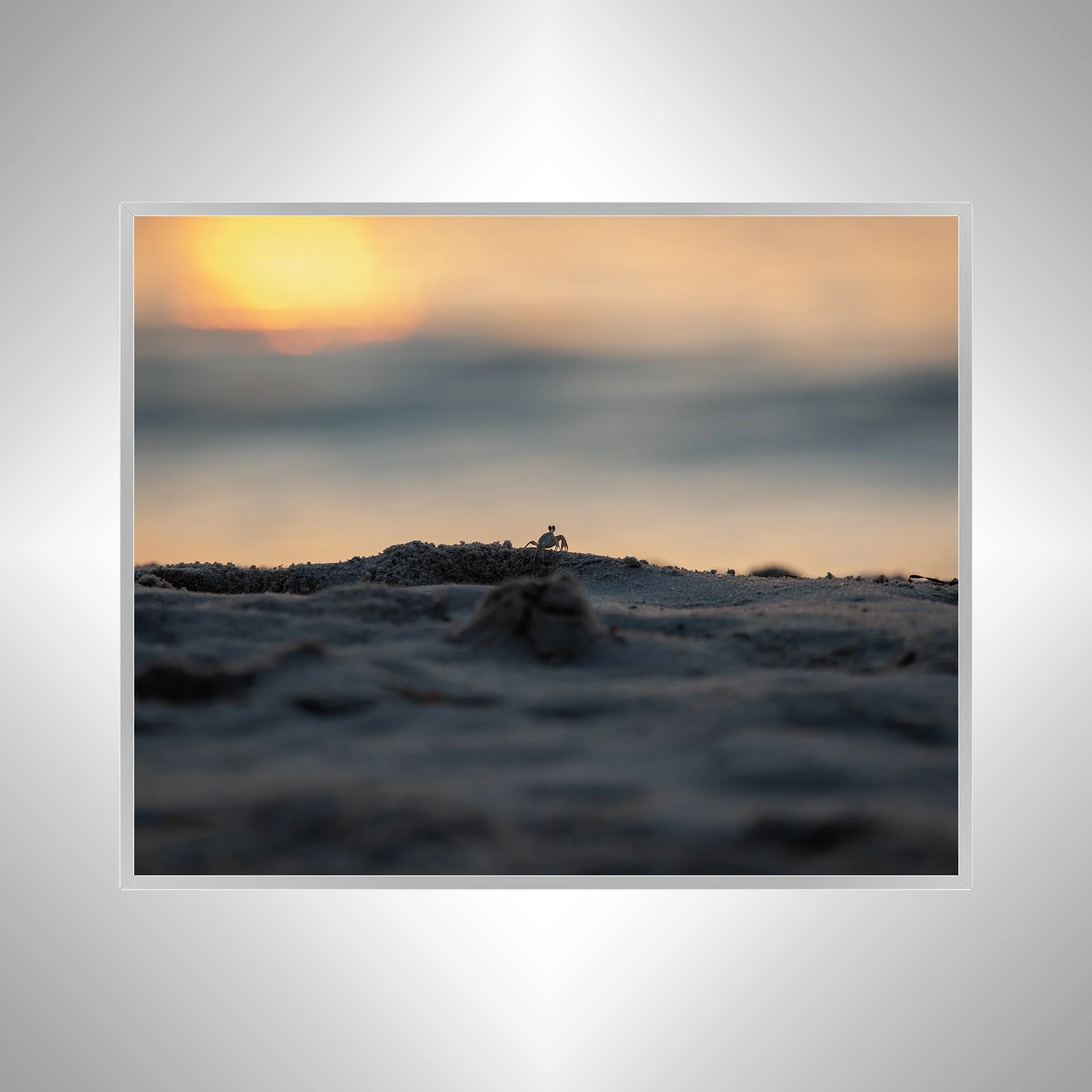 1:1 Ghost Crab Watching Sunrise in Duck, NC- Silver Metal.jpg