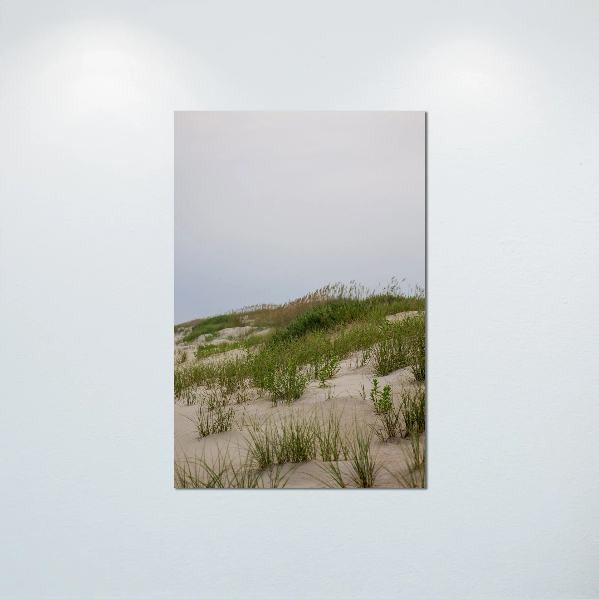 1:10 Ocracoke Dune Oats (Portrait)- Poster & Canvas.jpg