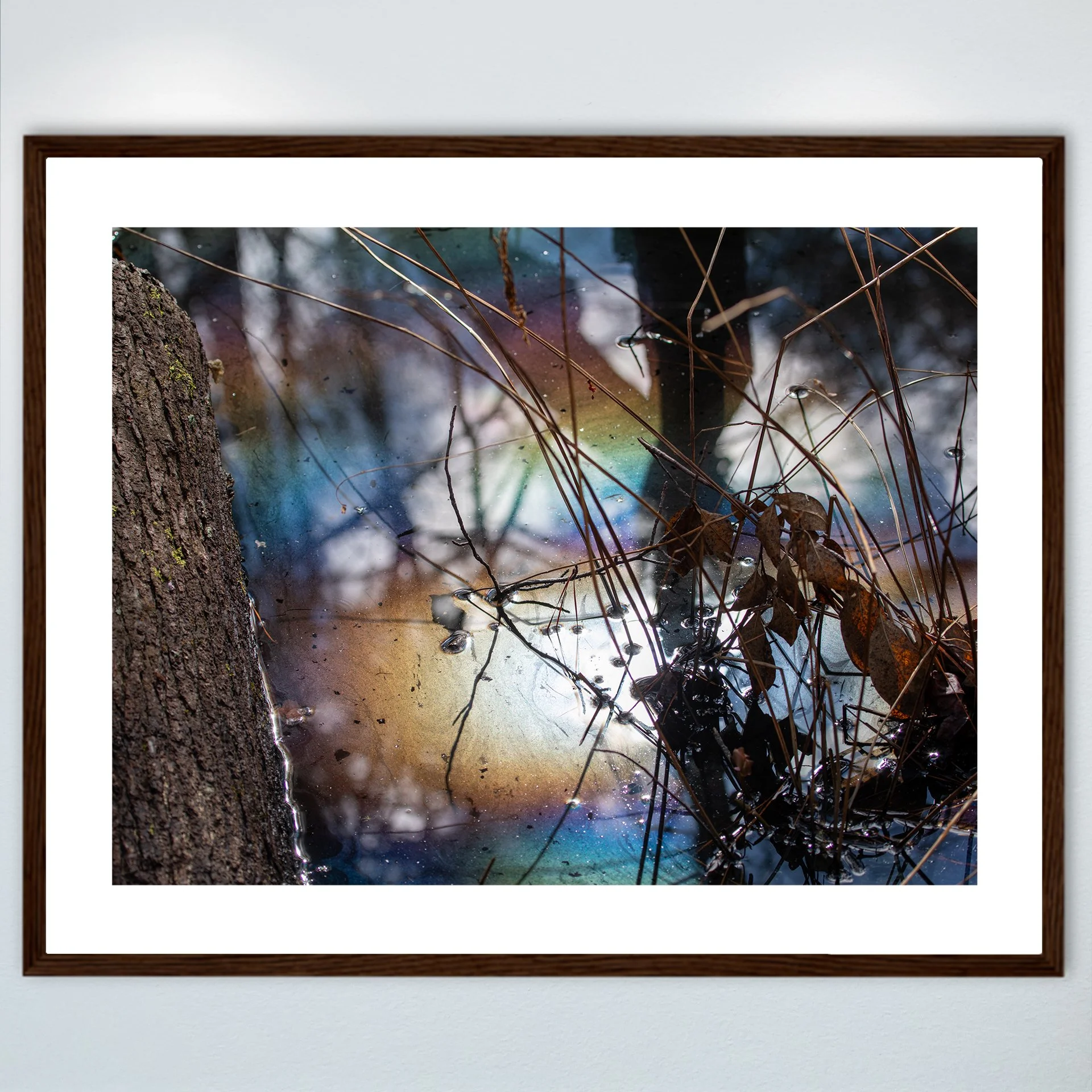 1:1 Rainbow Water at First Landing- Wood w: Border.jpg