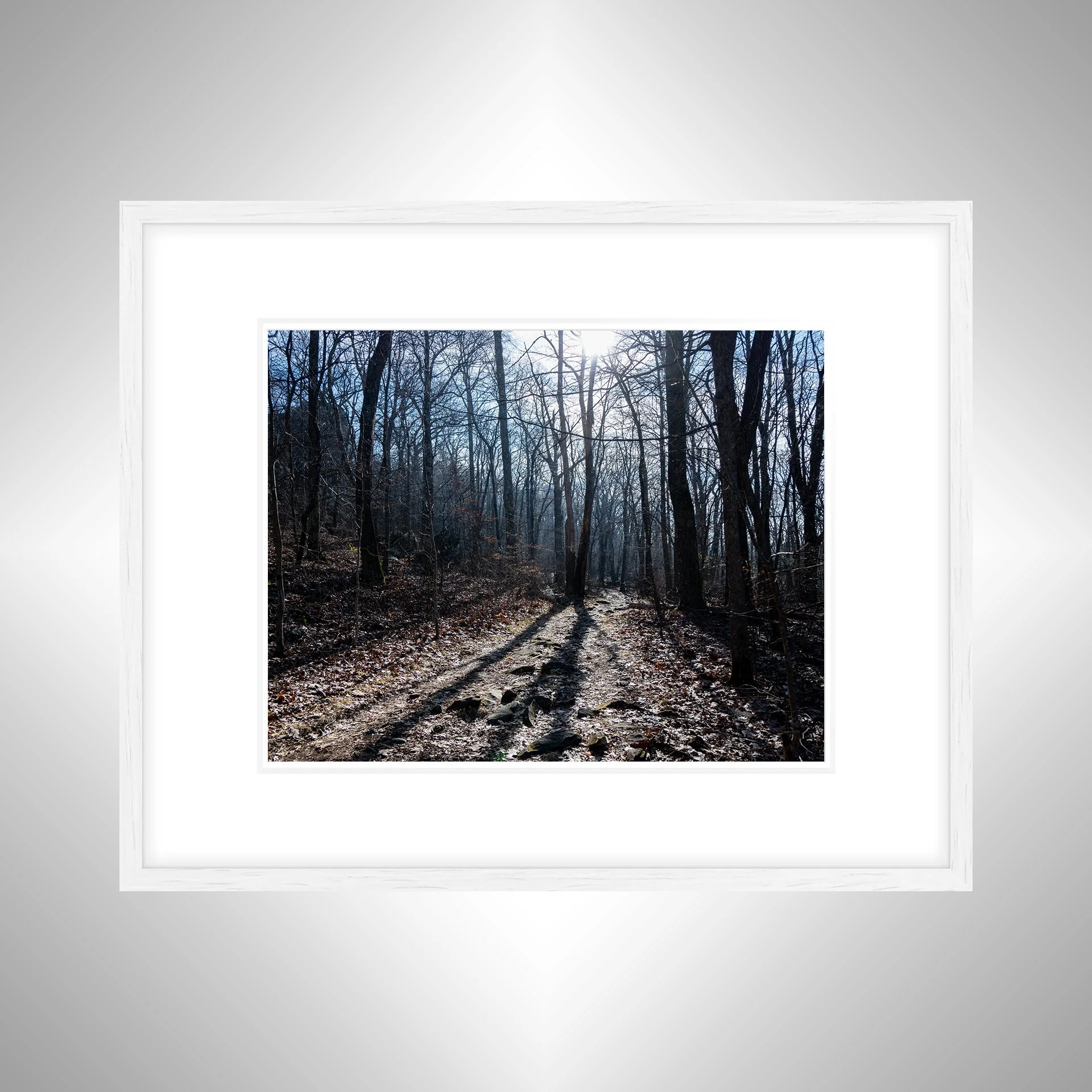 1:10 Shenandoah National Park Trail- W w b.jpg