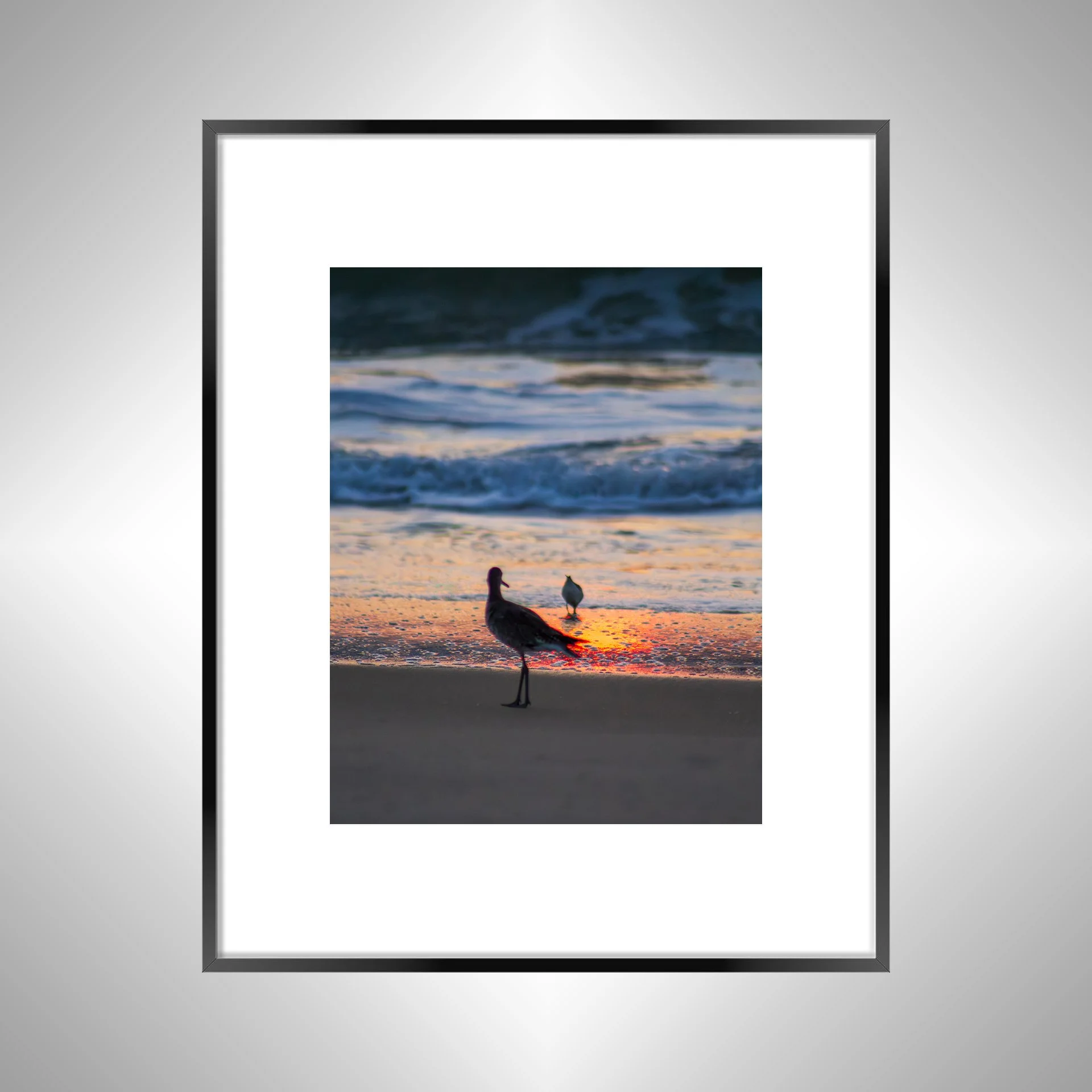 1:1 Willets at Sunrise- Black w: Border.jpg