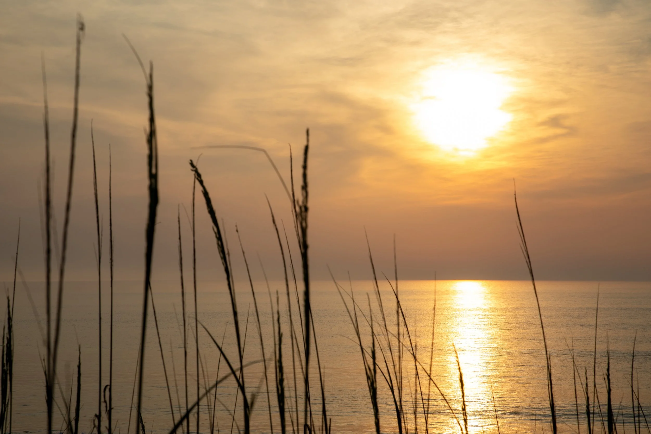 1:1 Sunrise Reflection thru Dunegrass2.jpg