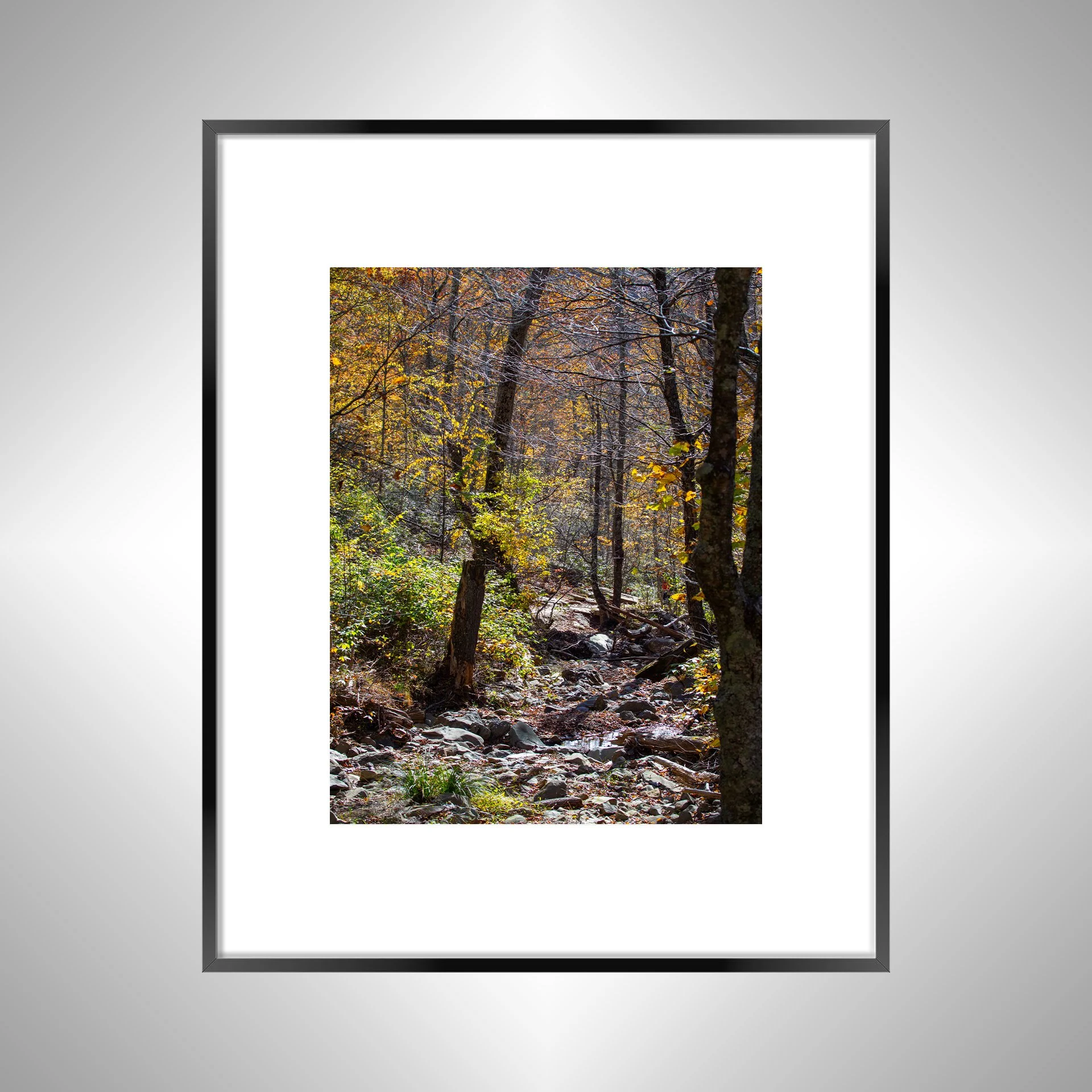 1:1 Shenandoah National Park Rocky Trail- Black w: Border.jpg