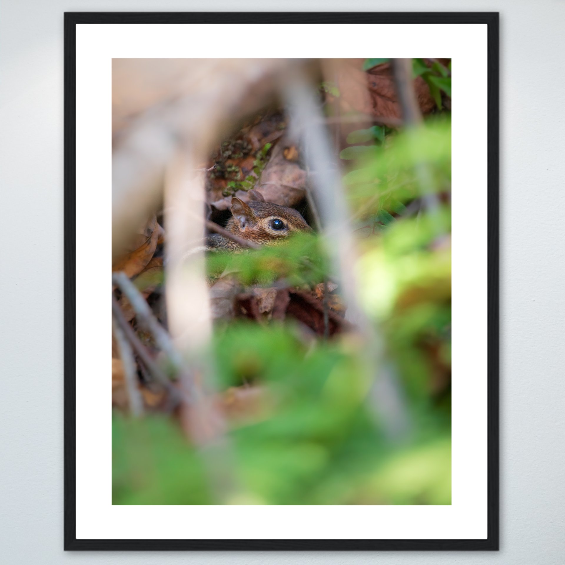 1:1 Shenandoah Mountain Chipmunk thru Foliage- Wood w: Border.jpg