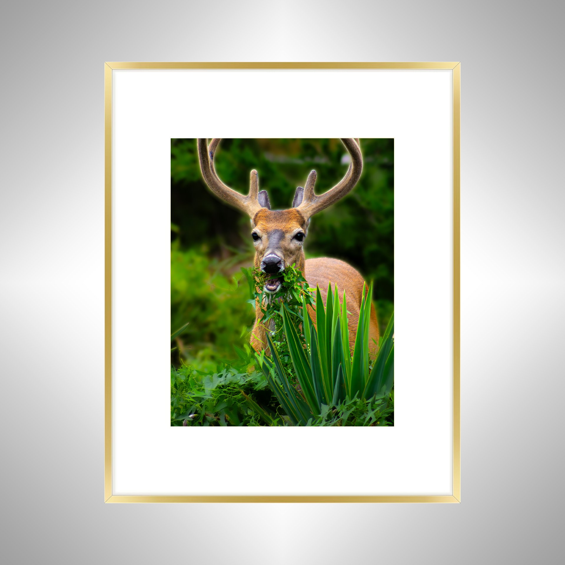 1:1 Deer Dinner in Hatteras- Gold Metal w: Border.jpg