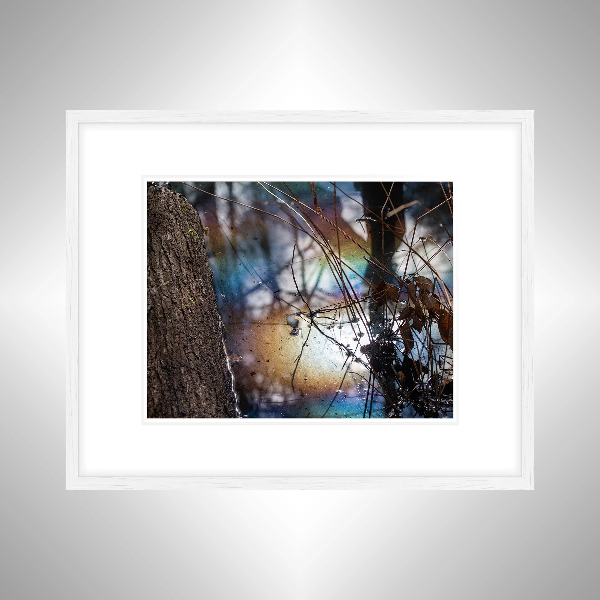 1:1 Rainbow Water at First Landing- White w: Border.jpg