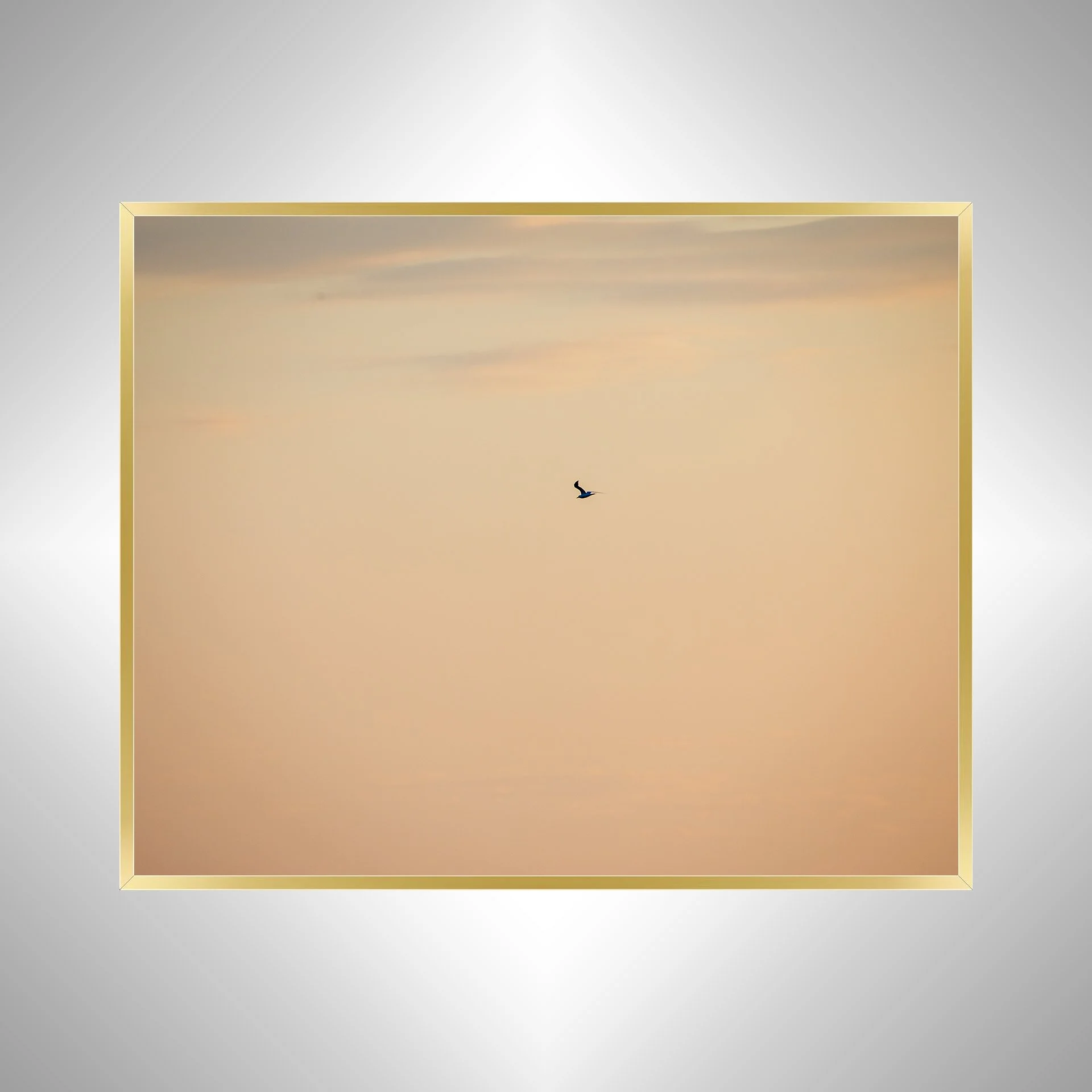 1:1 Orange Seagull- Gold.jpg