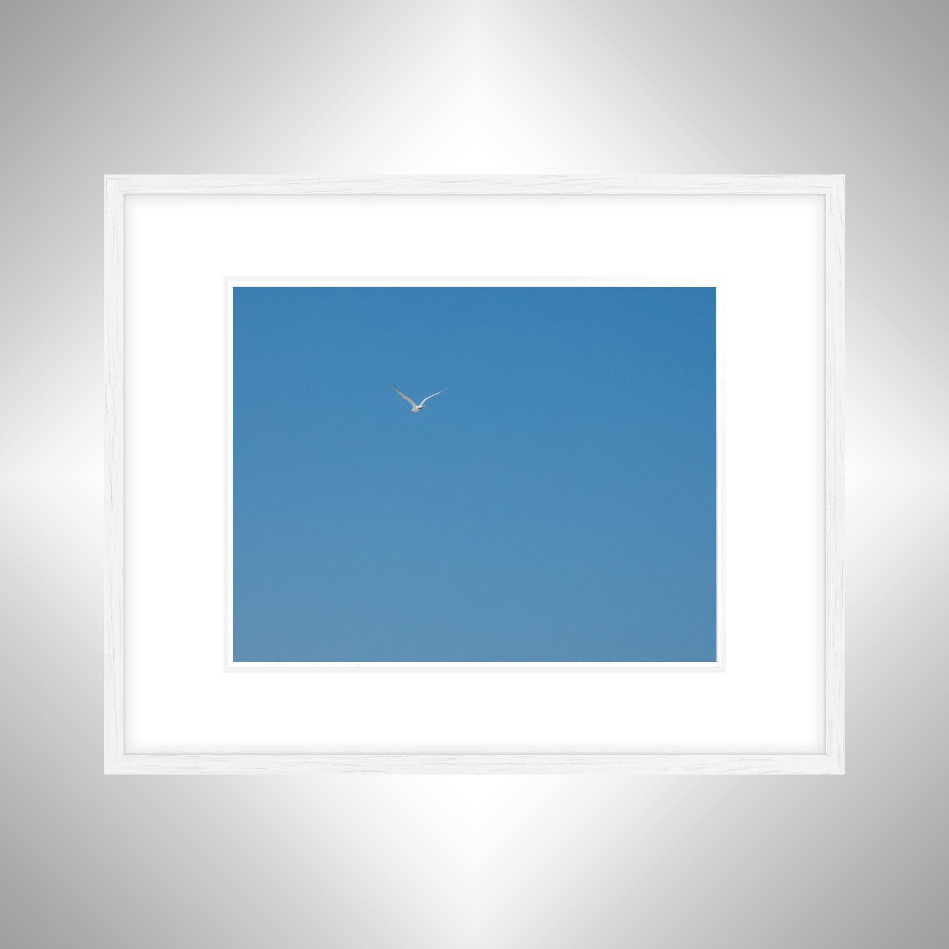 1:10 Seagull Flying Away- White w: Border.jpg
