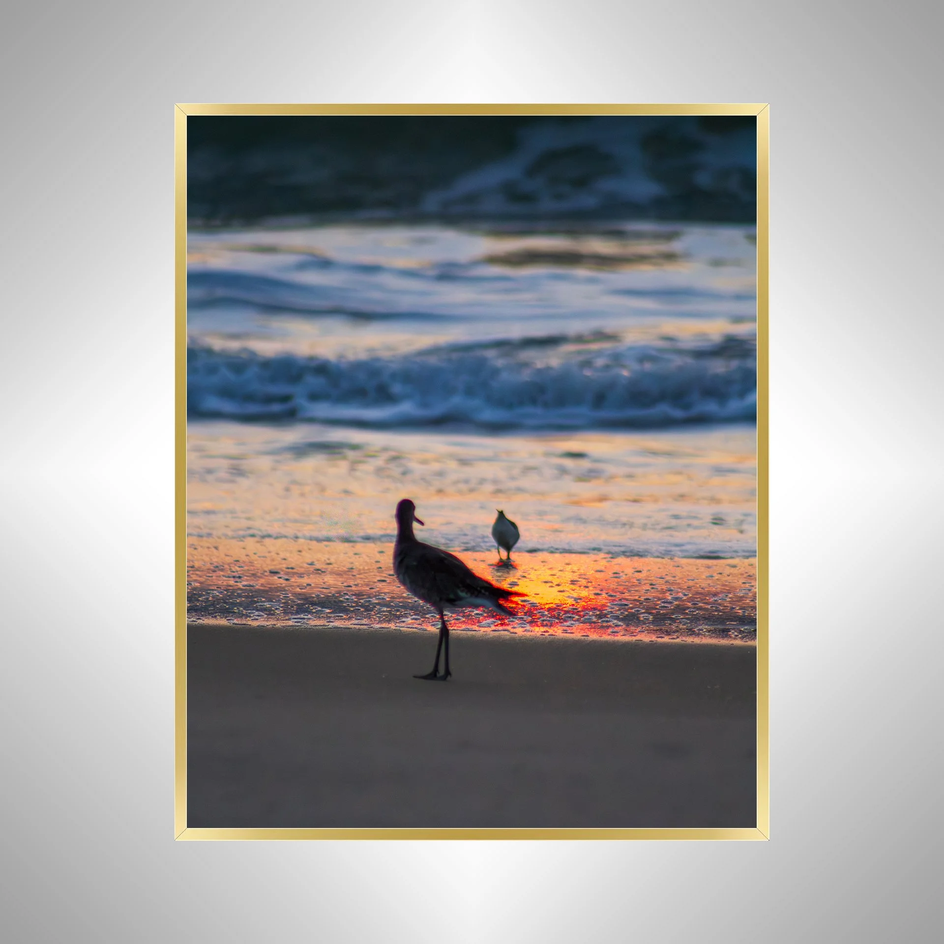 1:1 Willets at Sunrise- Gold.jpg