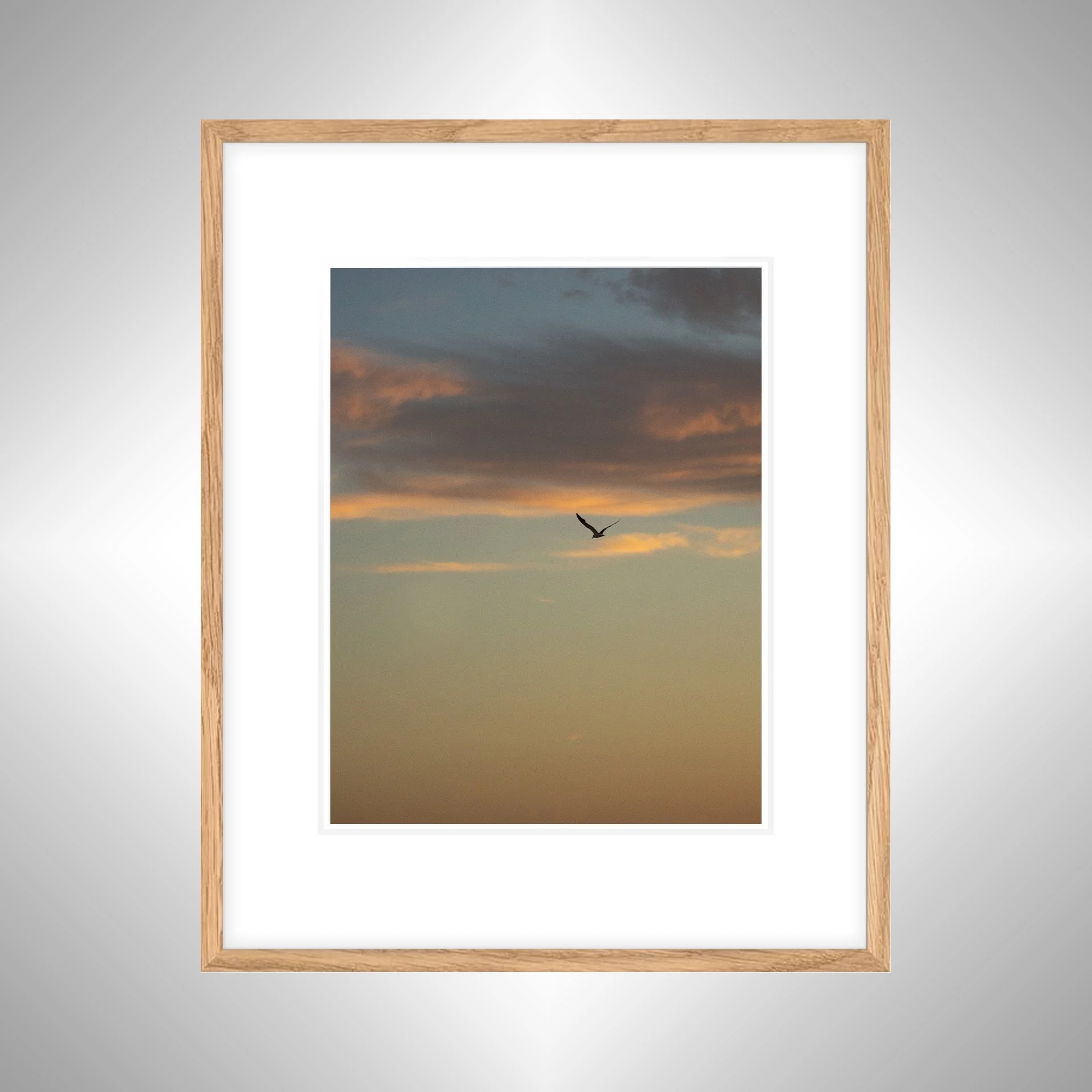1:10 Seagull Soaring Gradient- White w: Border copy NATTY.jpg
