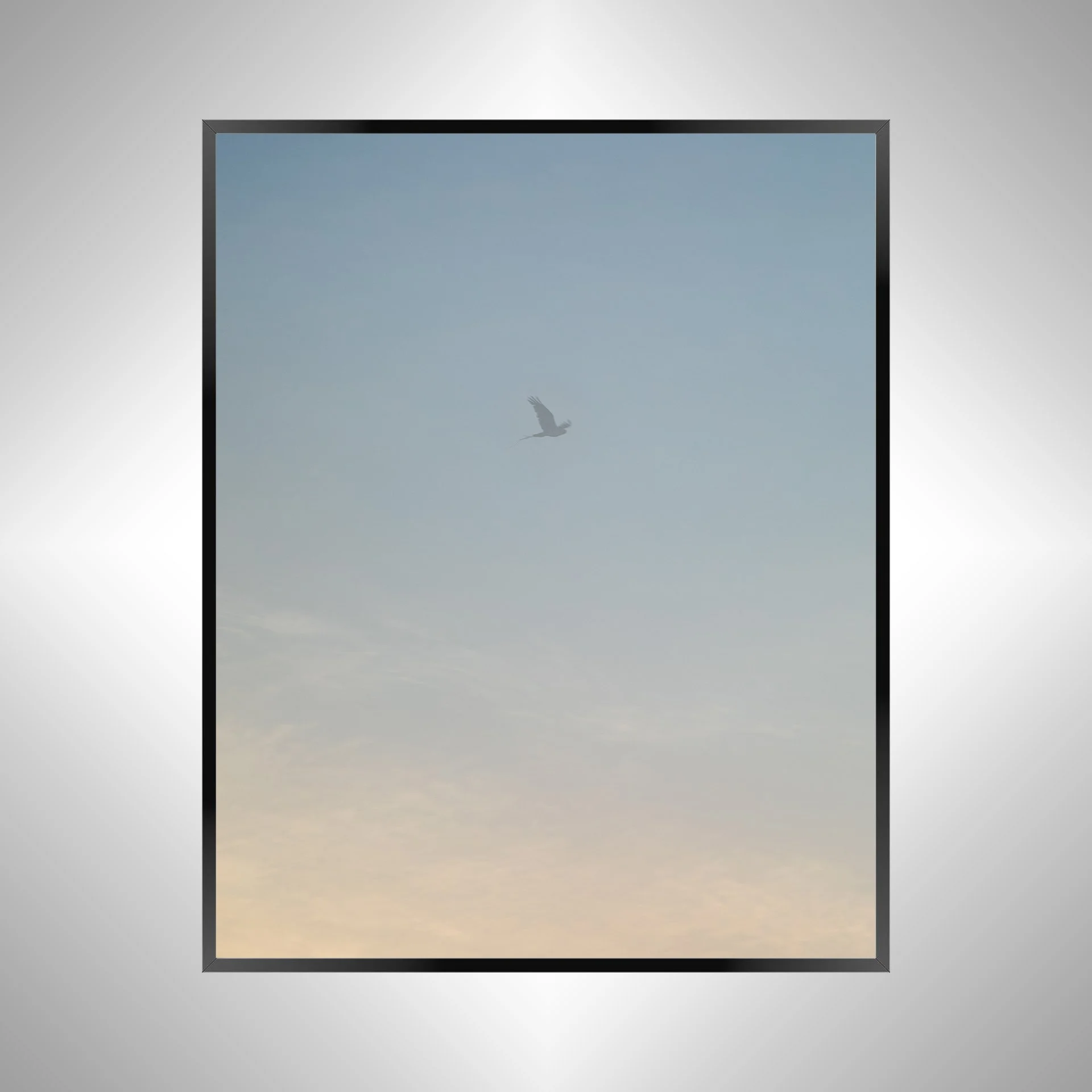 1/1 Seagull thru Fog