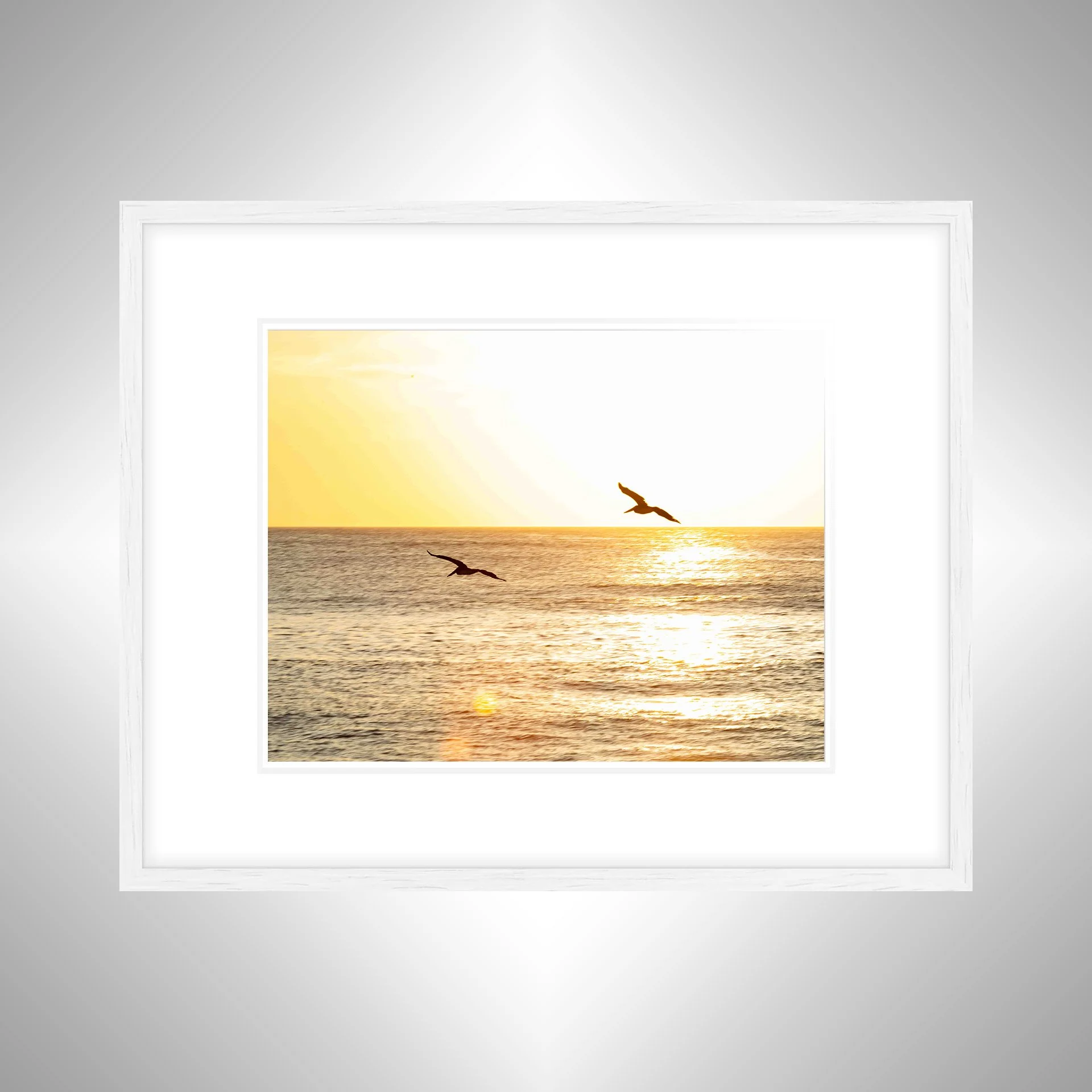 1:10 Gliding to the Sunrise- White w: Border.jpg