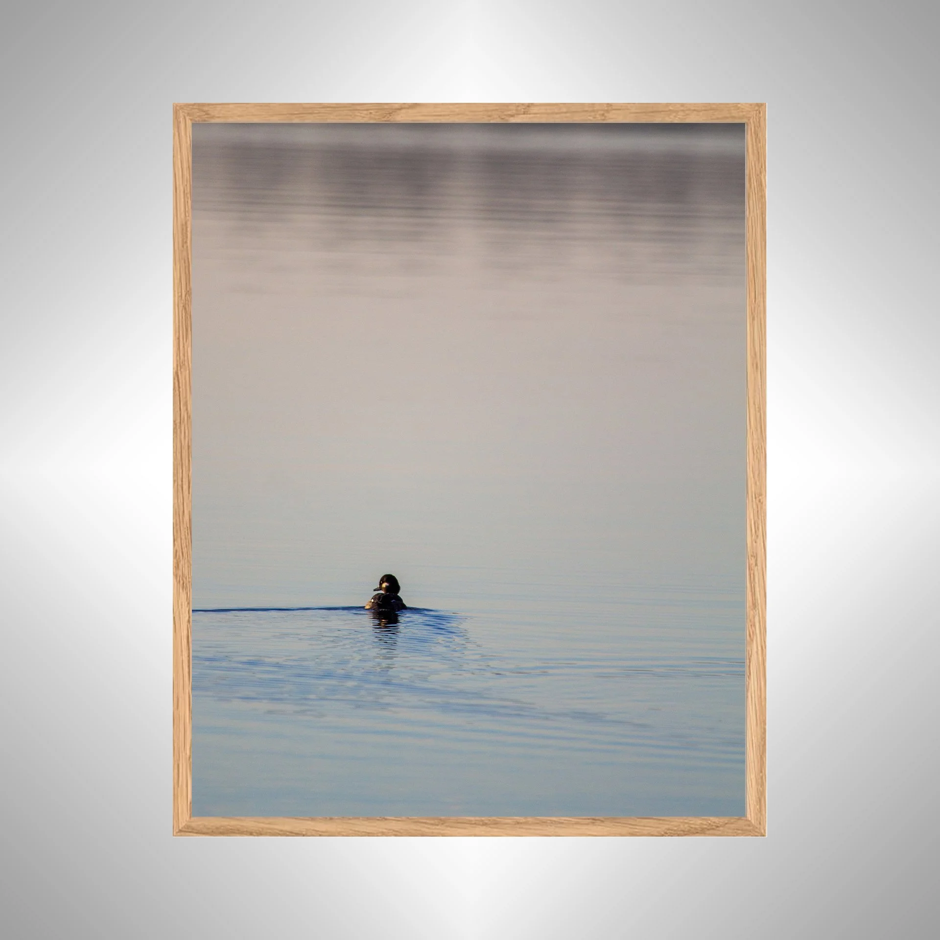 1:10 Bufflehead on Lafayette- White copy NATTY.jpg