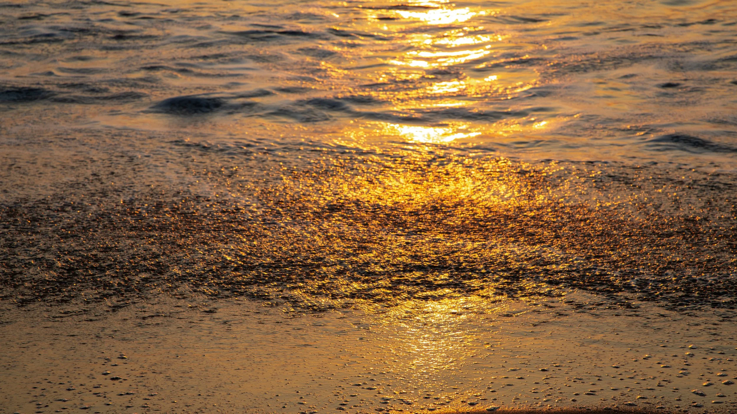 1:1 Sand Fiddler Sunrise.jpg