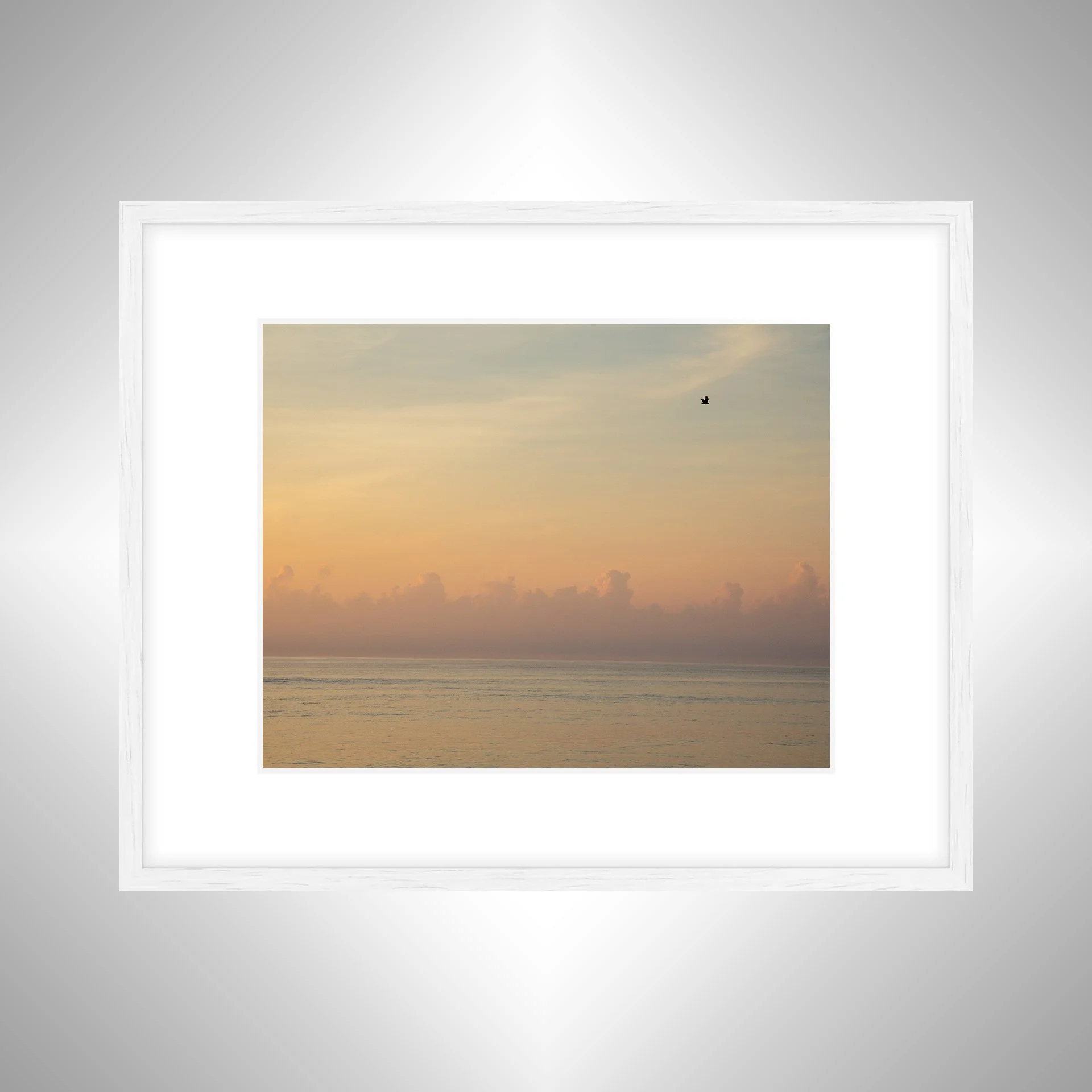 1:1 Clouds on the Horizon with Seagull- White Wood w: Border.jpg