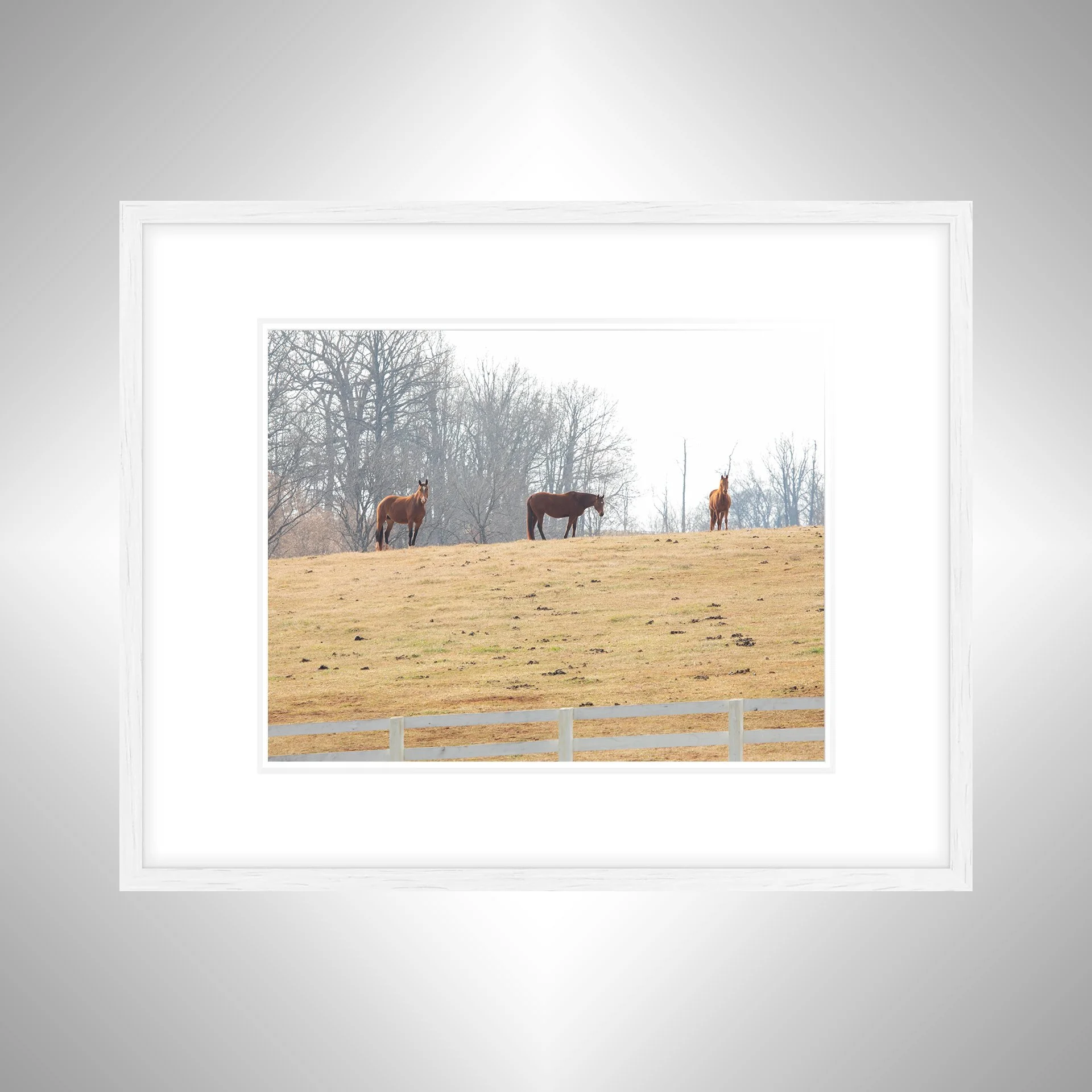 1:10 Horse Hill- White w: Border.jpg