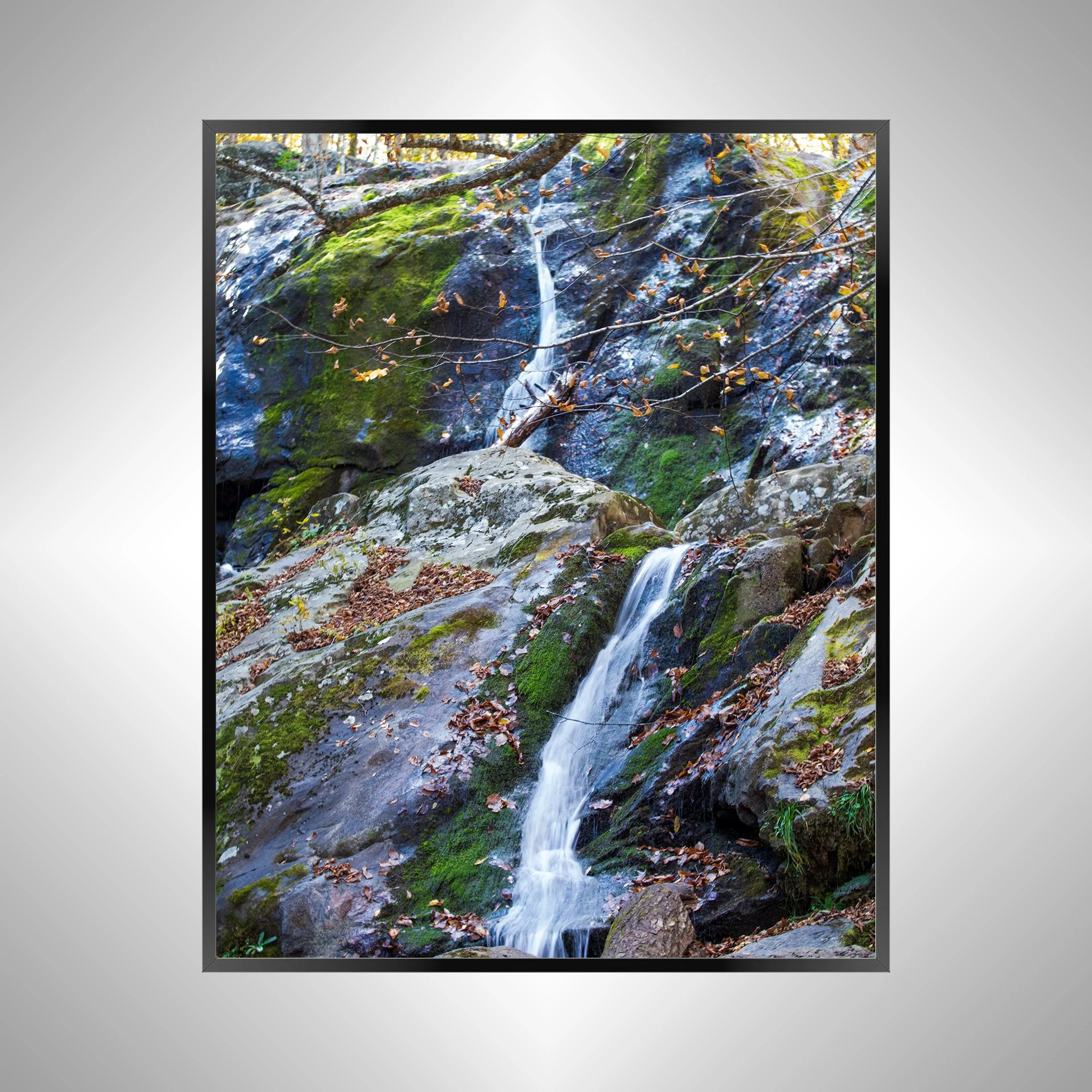 1/1 Shenandoah National Park, Dark Hollow Falls Waterfall