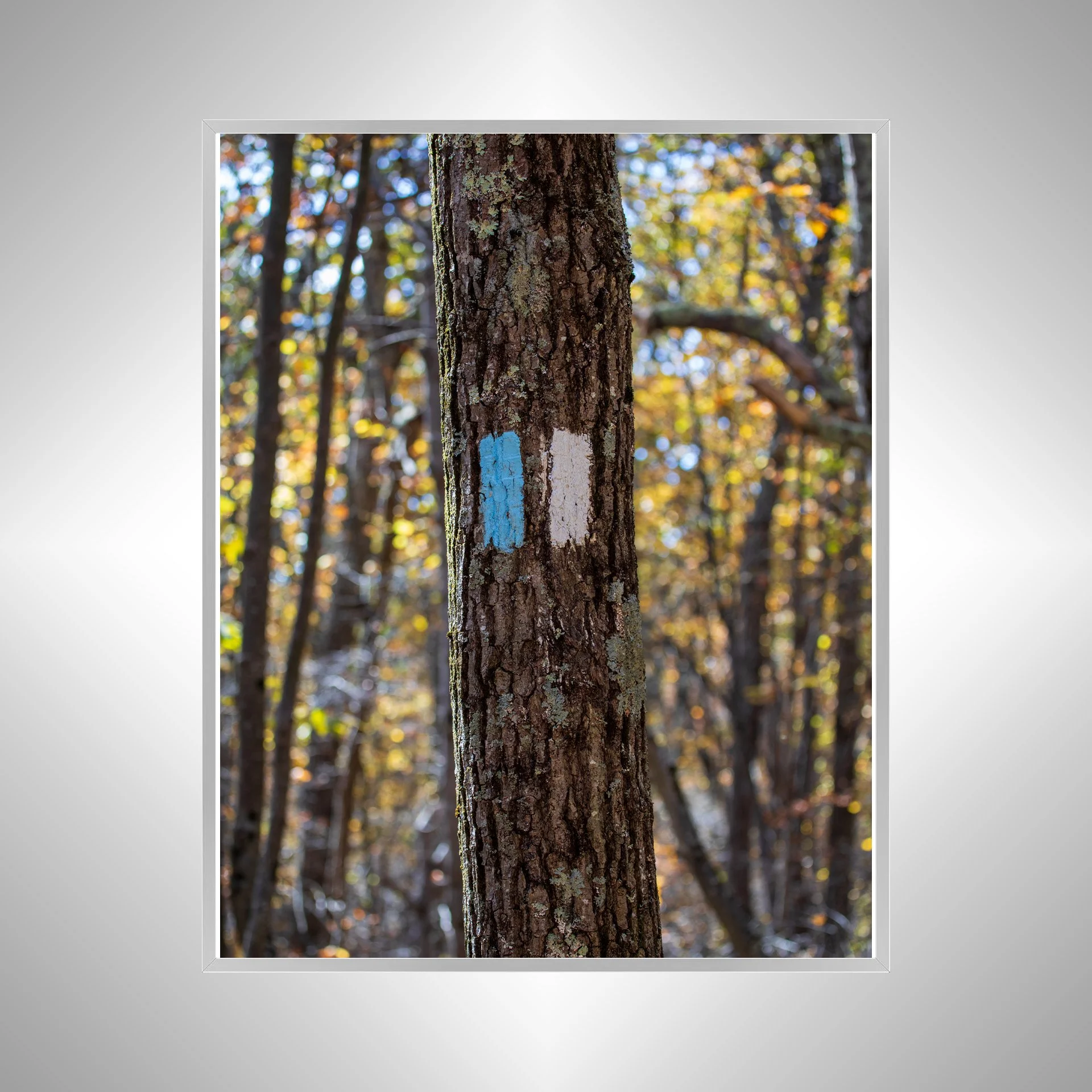 1:1 Appalachian Trail Blaze- Silver Metal.jpg