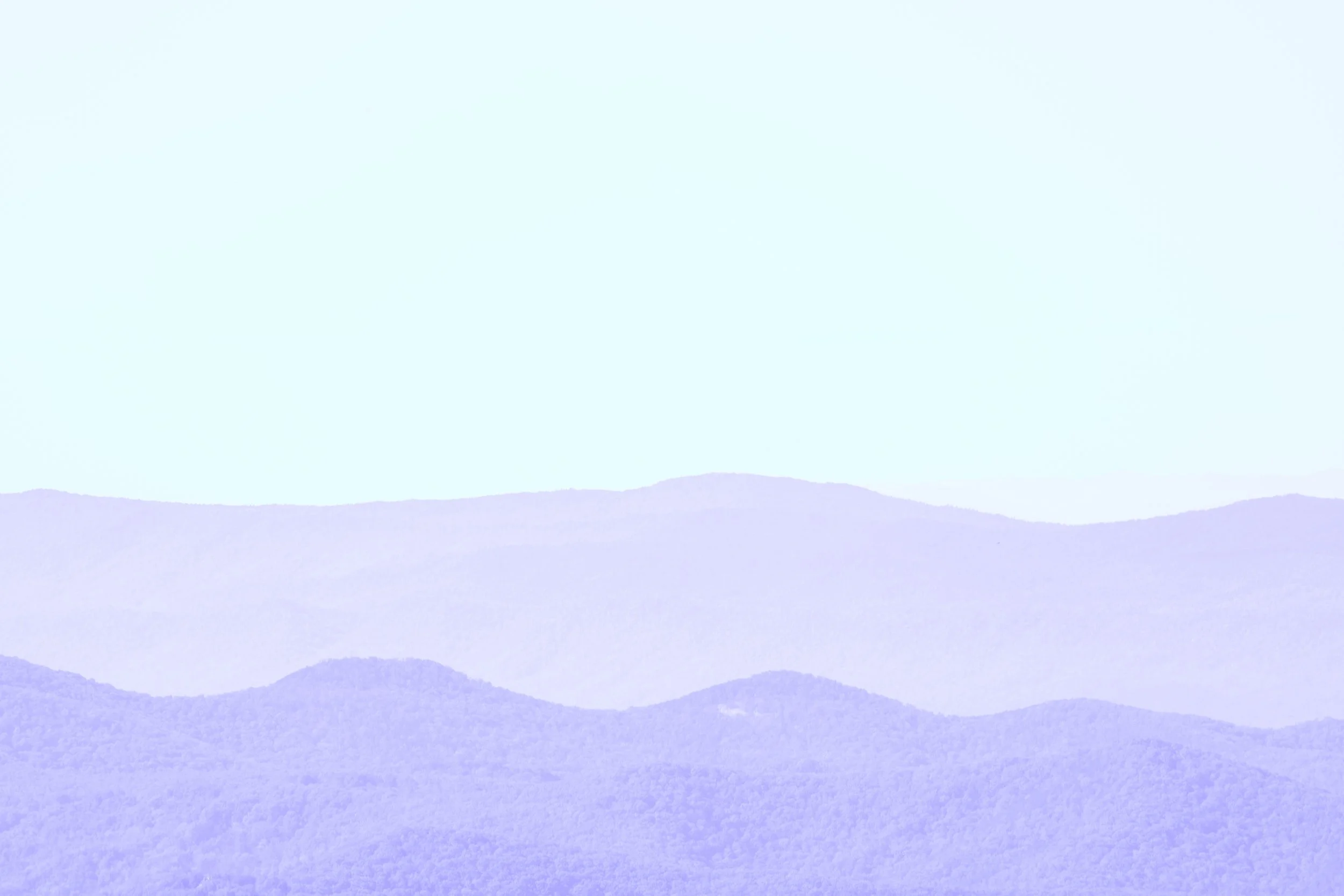 1:1 Shenandoah Purple Canopy Layers.jpg