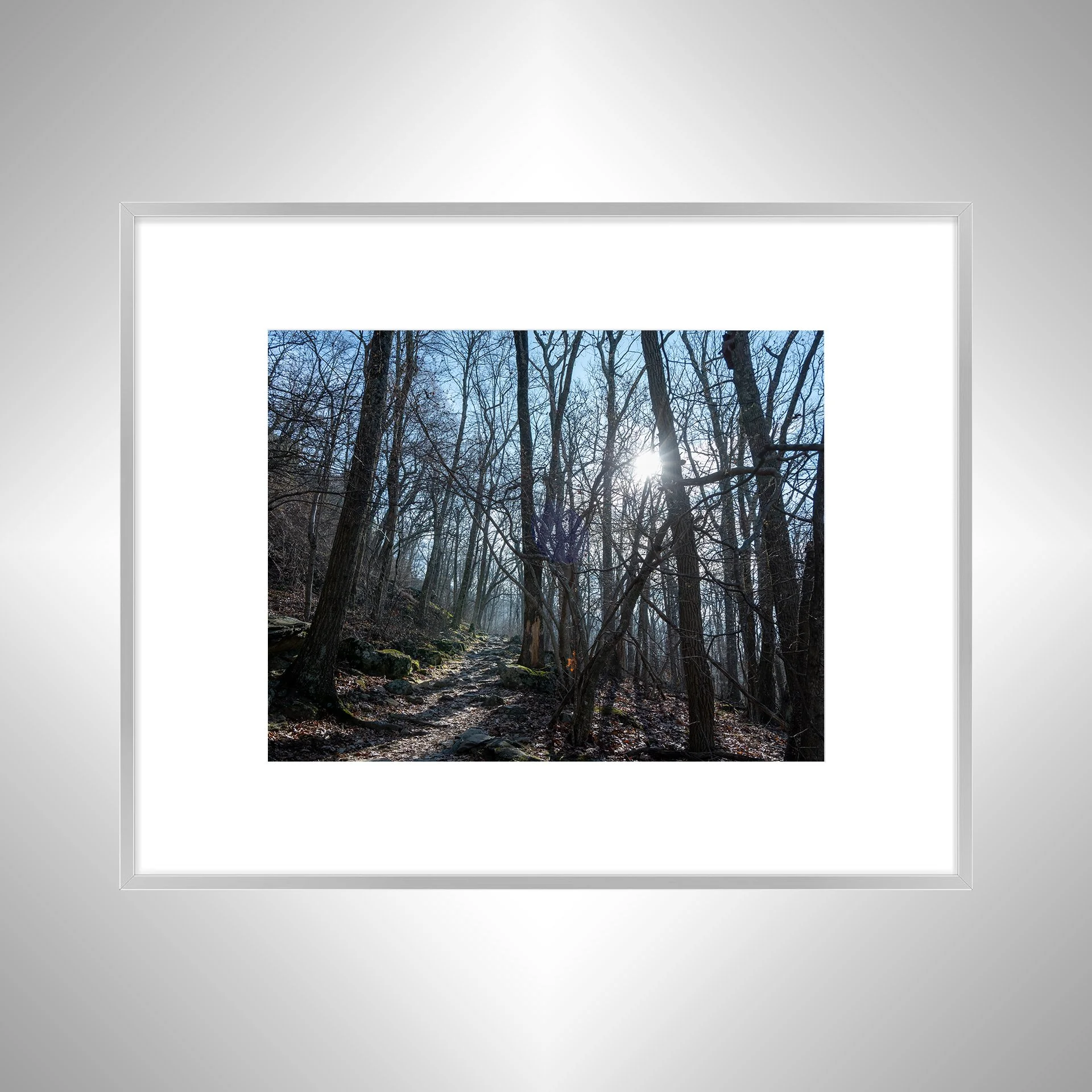 1:1 Shenandoah National Park Rock Trail with Sun Flare- Silver w: Border.jpg