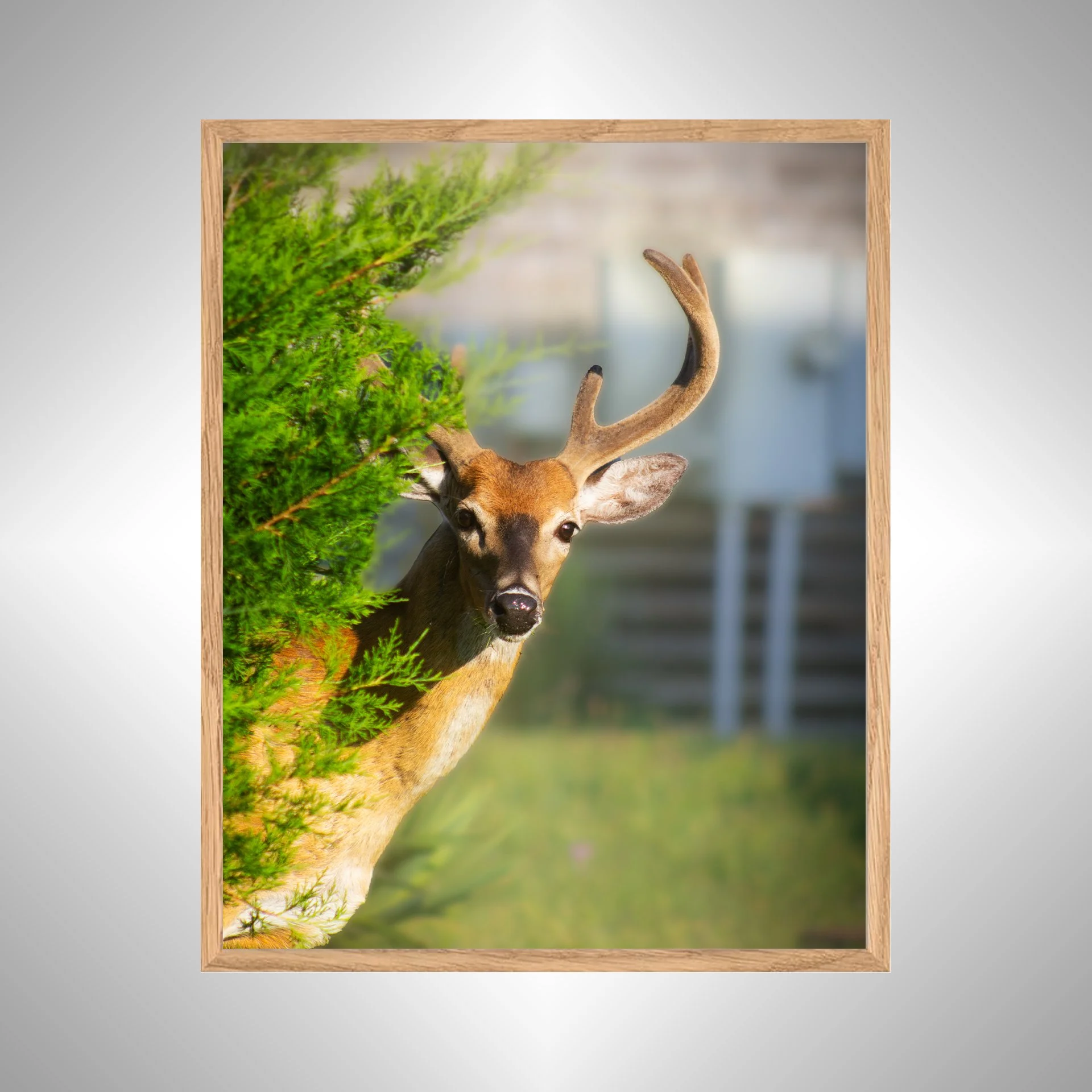 1:1 Deer Peer- White Wood copy NATTY.jpg