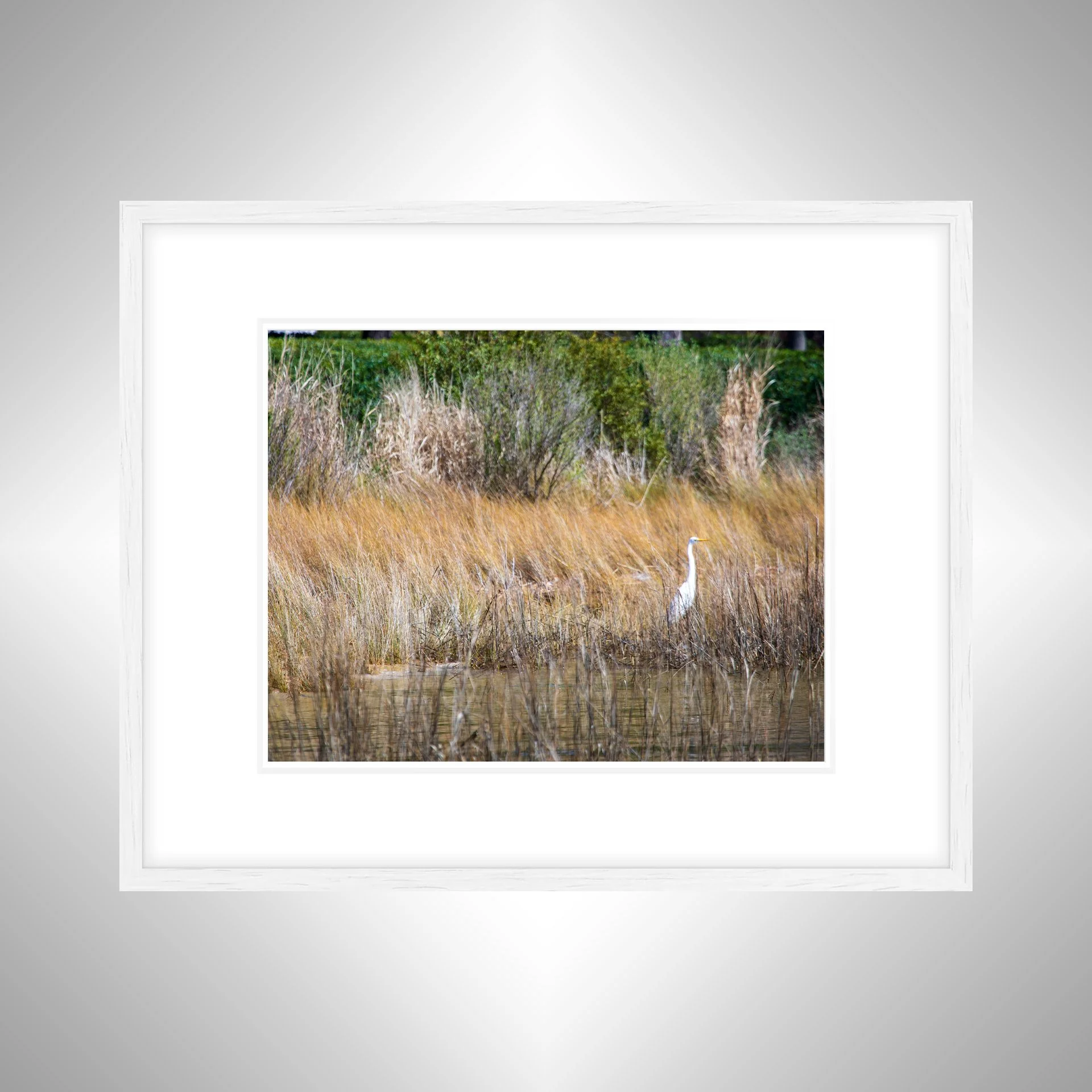 1:1 Hermitage Egret- White Wood w: Border.jpg