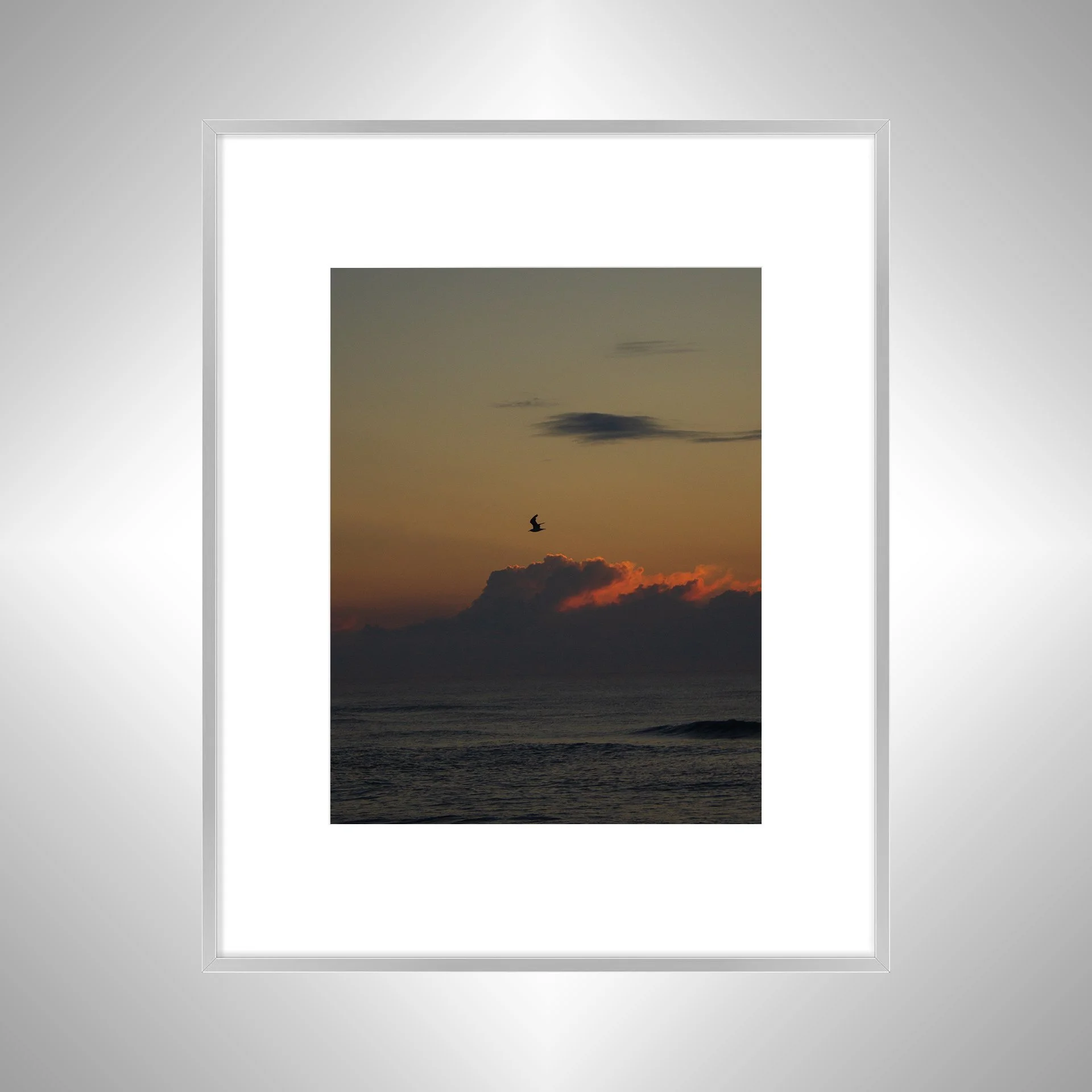 1:1 Cloudy Sunrise Soaring Seagull- Silver Metal w: Border.jpg