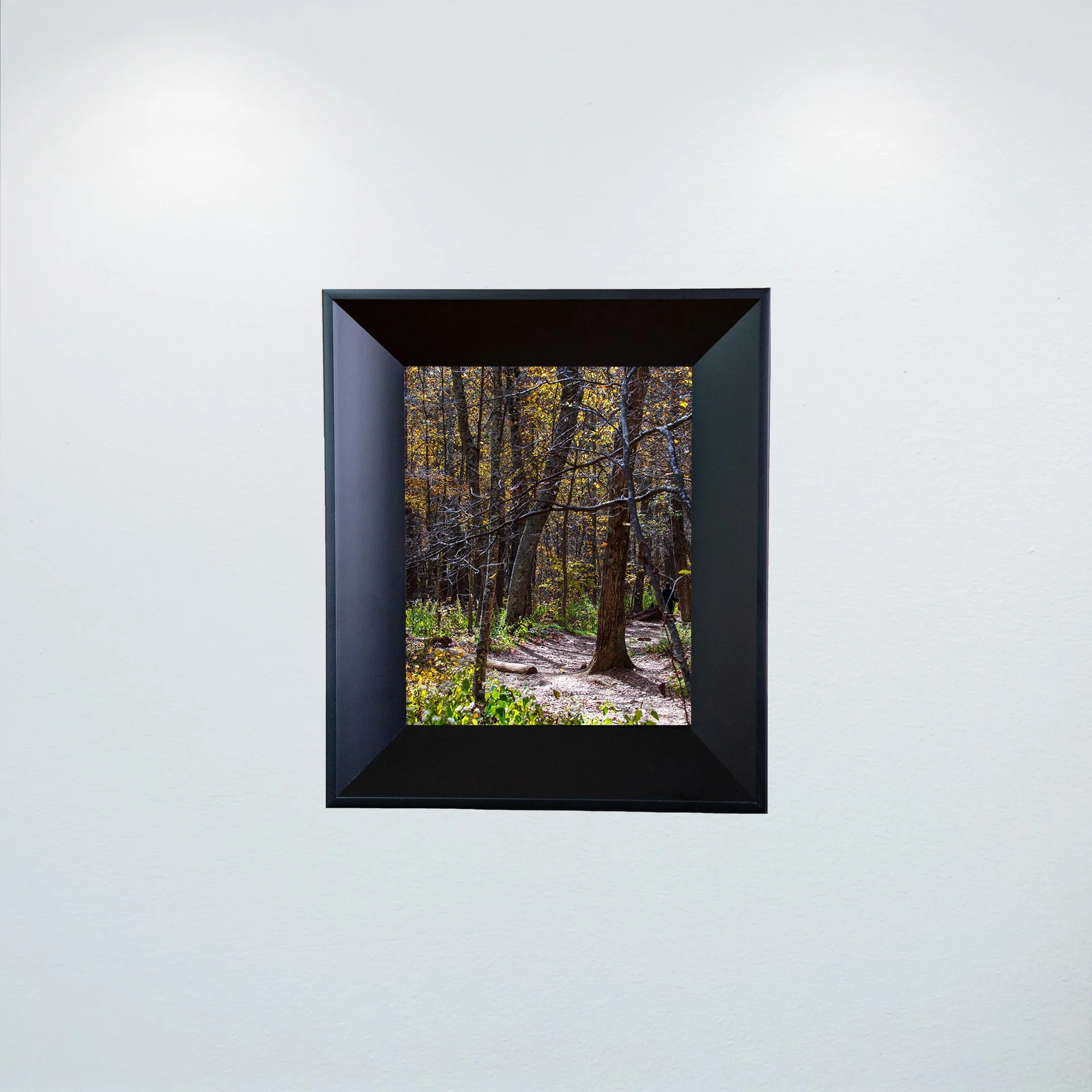 1:1 Shenandoah National Park Tree Trail- Mini.jpg