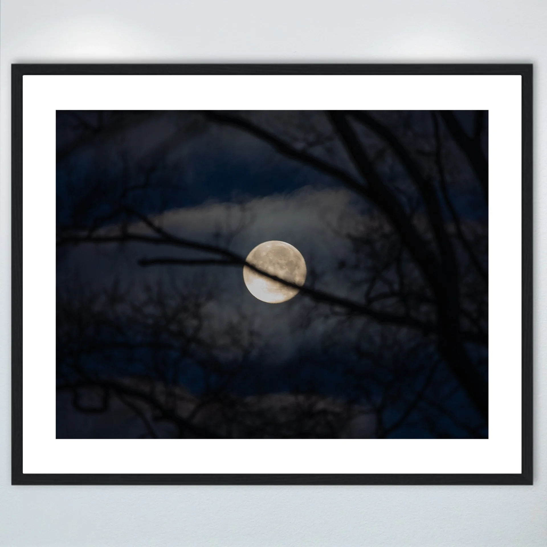 1:1 Moon thru Tree Branches- Wood w: Border.jpg