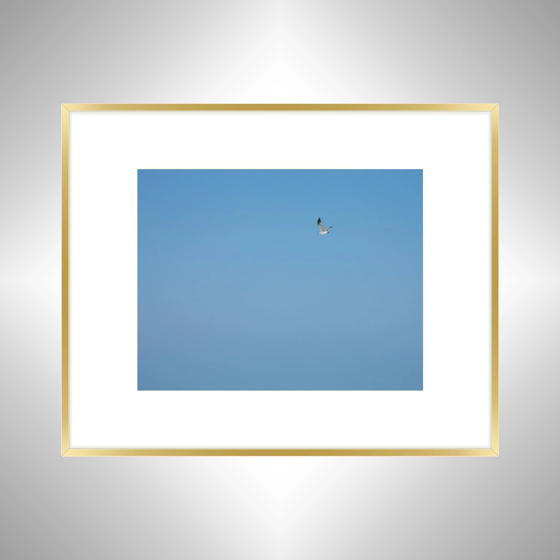 1:10 Blue Sky Seagull- Gikd w: Border.jpg