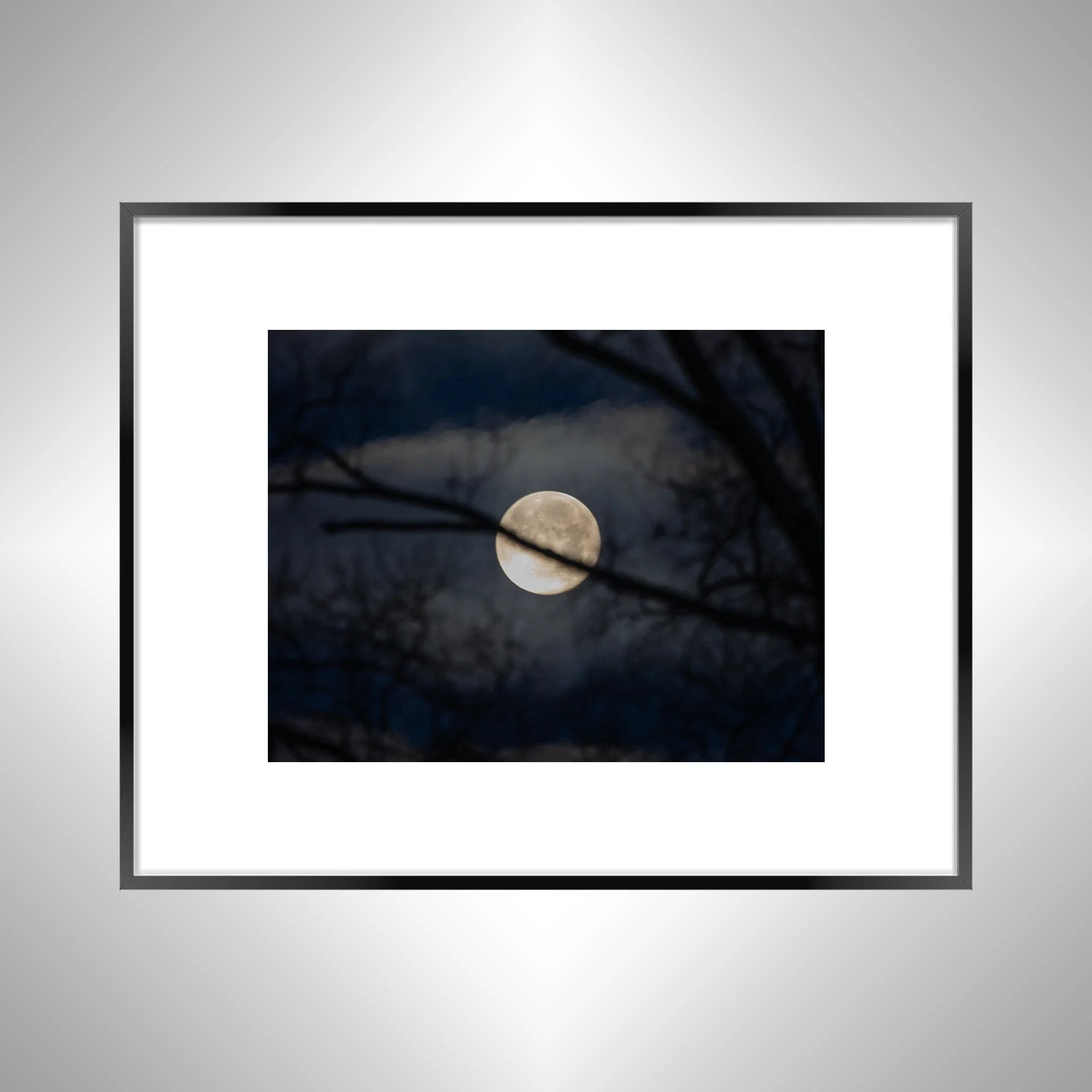 1:1 Moon thru Tree Branches- Black Metal w: Border.jpg