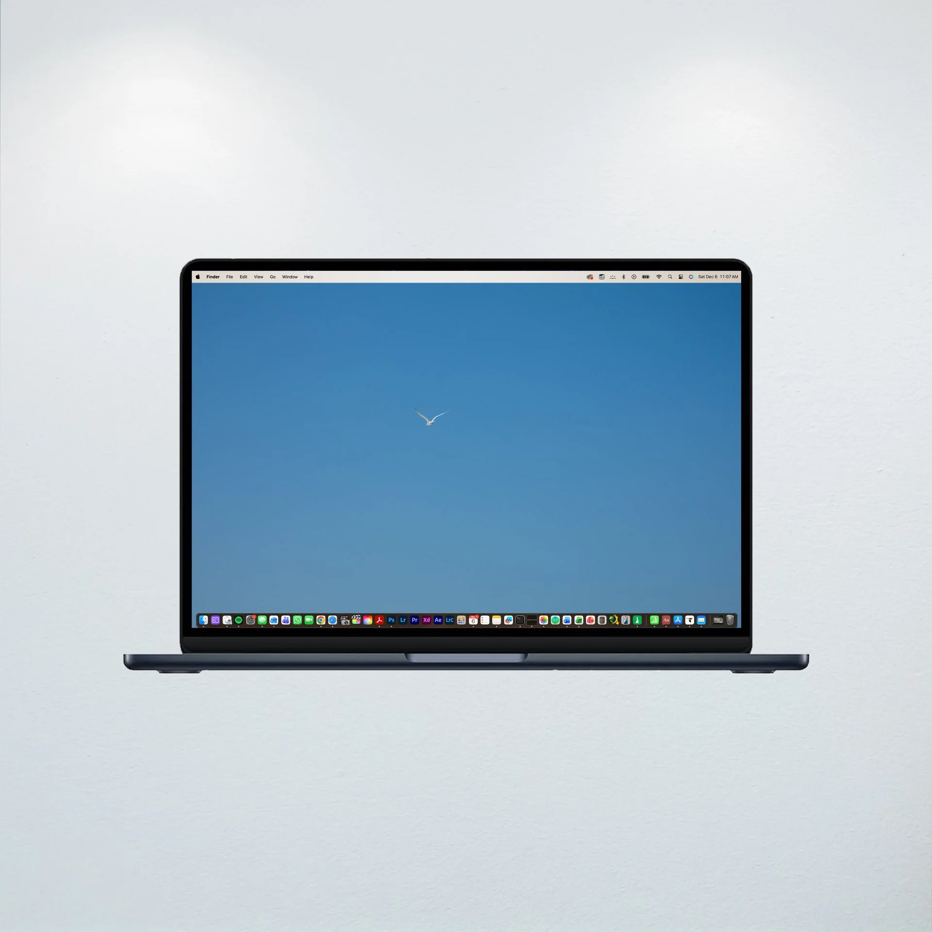 1:10 Seagull Flying Away- Wallpaper.jpg