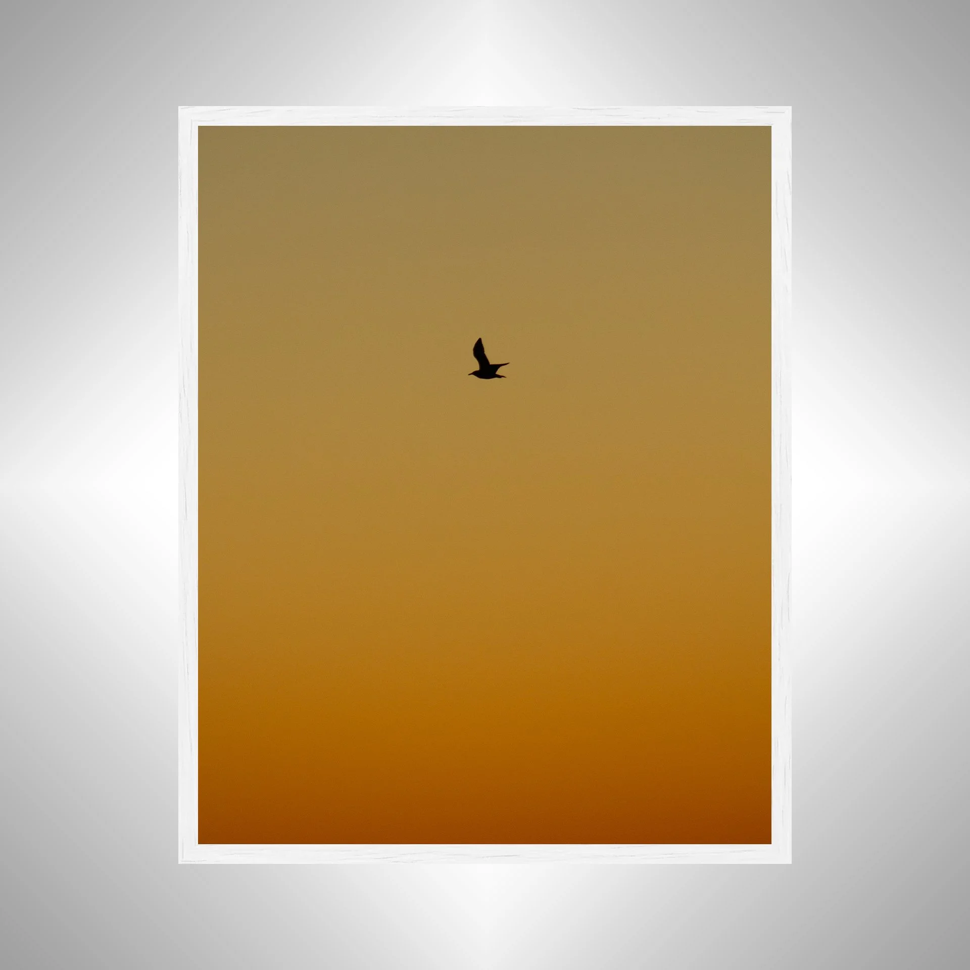 1:1 Seagull Silhouette Soaring North with Orange Gradient- White.jpg
