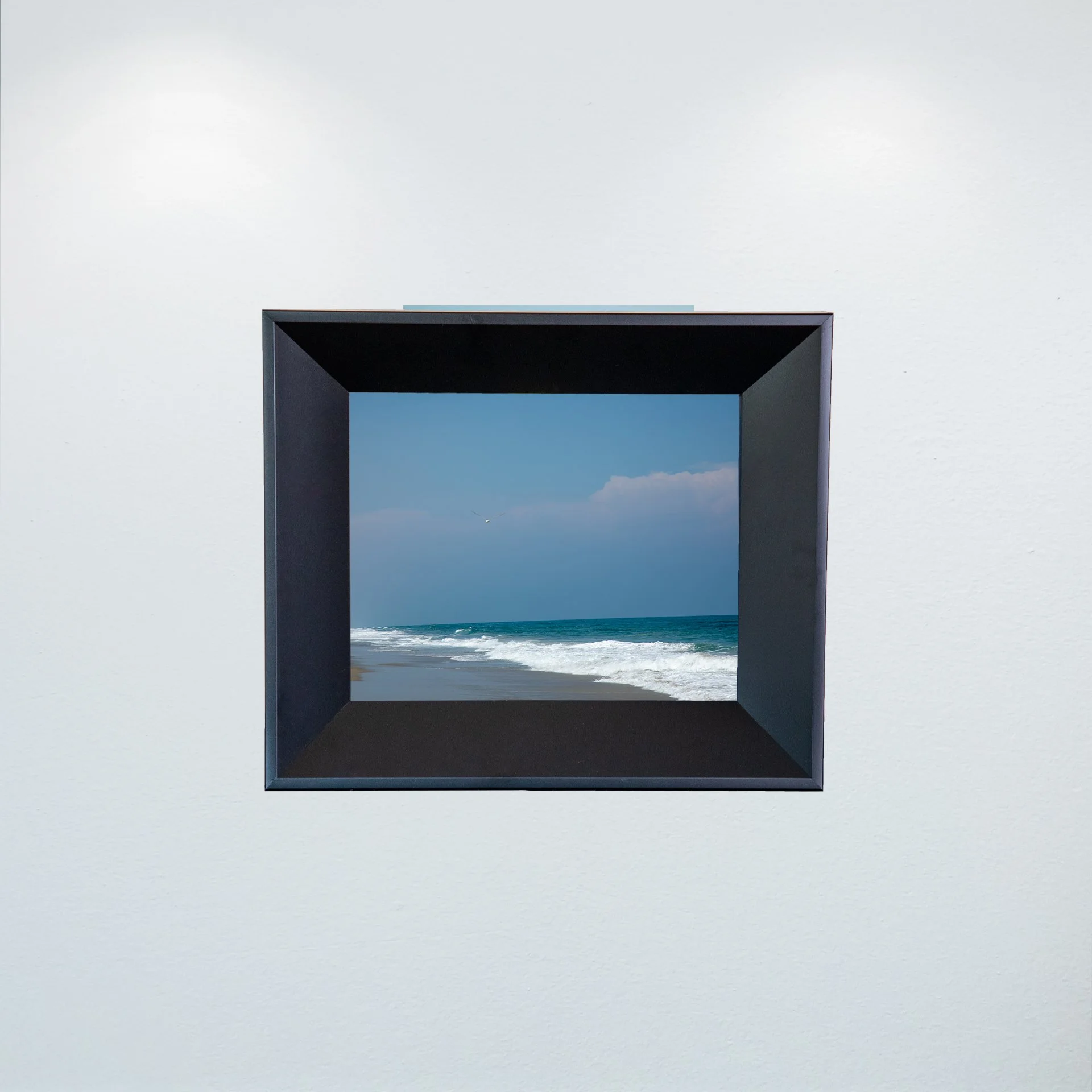 1:10 Seagull in Carova- Mini.jpg