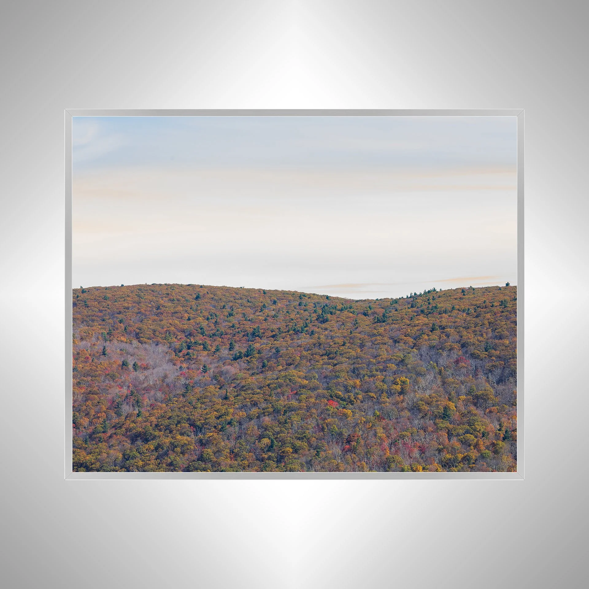 1:1 Shenandoah Mountain Tree Canopy at Fall- Silver.jpg