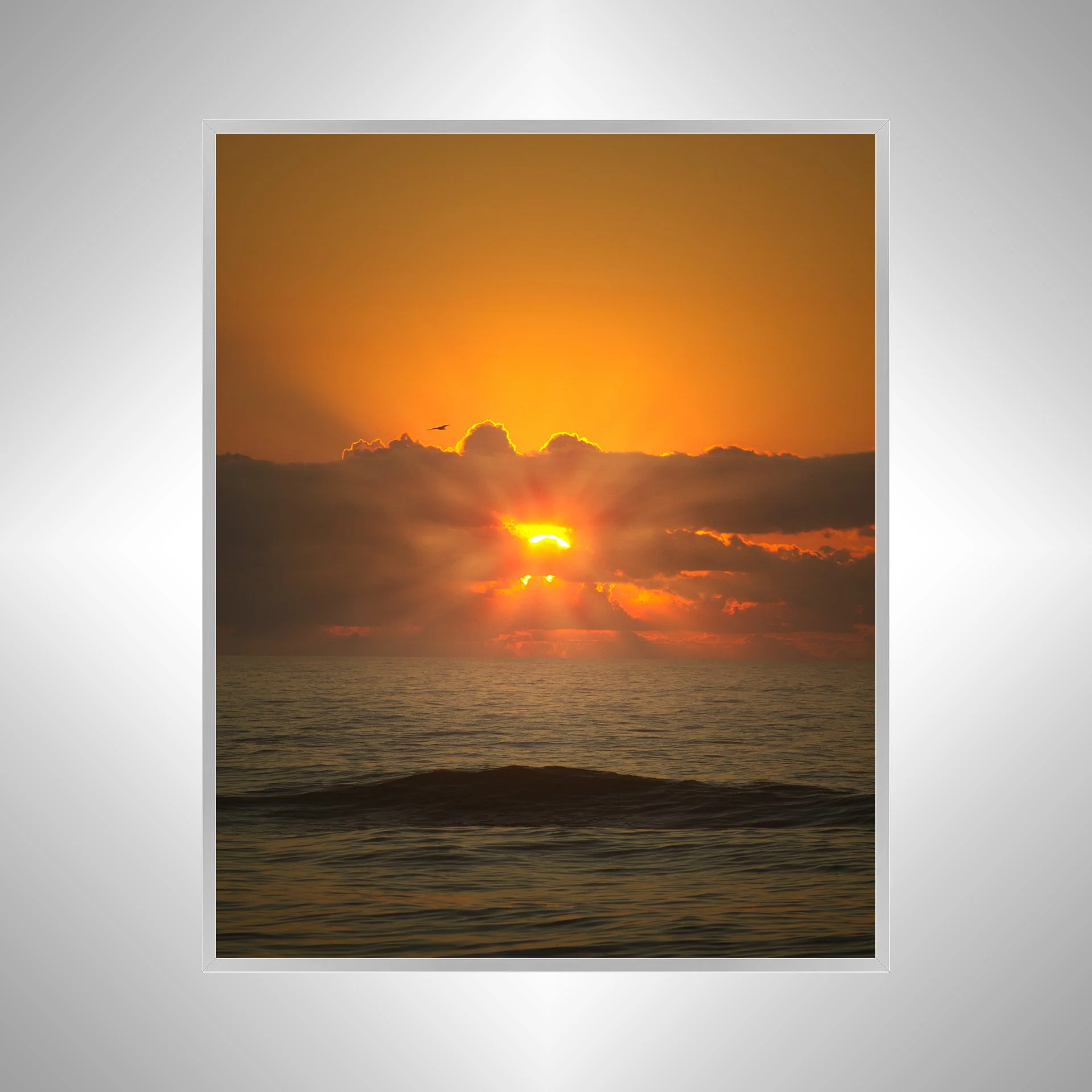 1:1 Sea + Gull Sunrise Flare- Silver.jpg